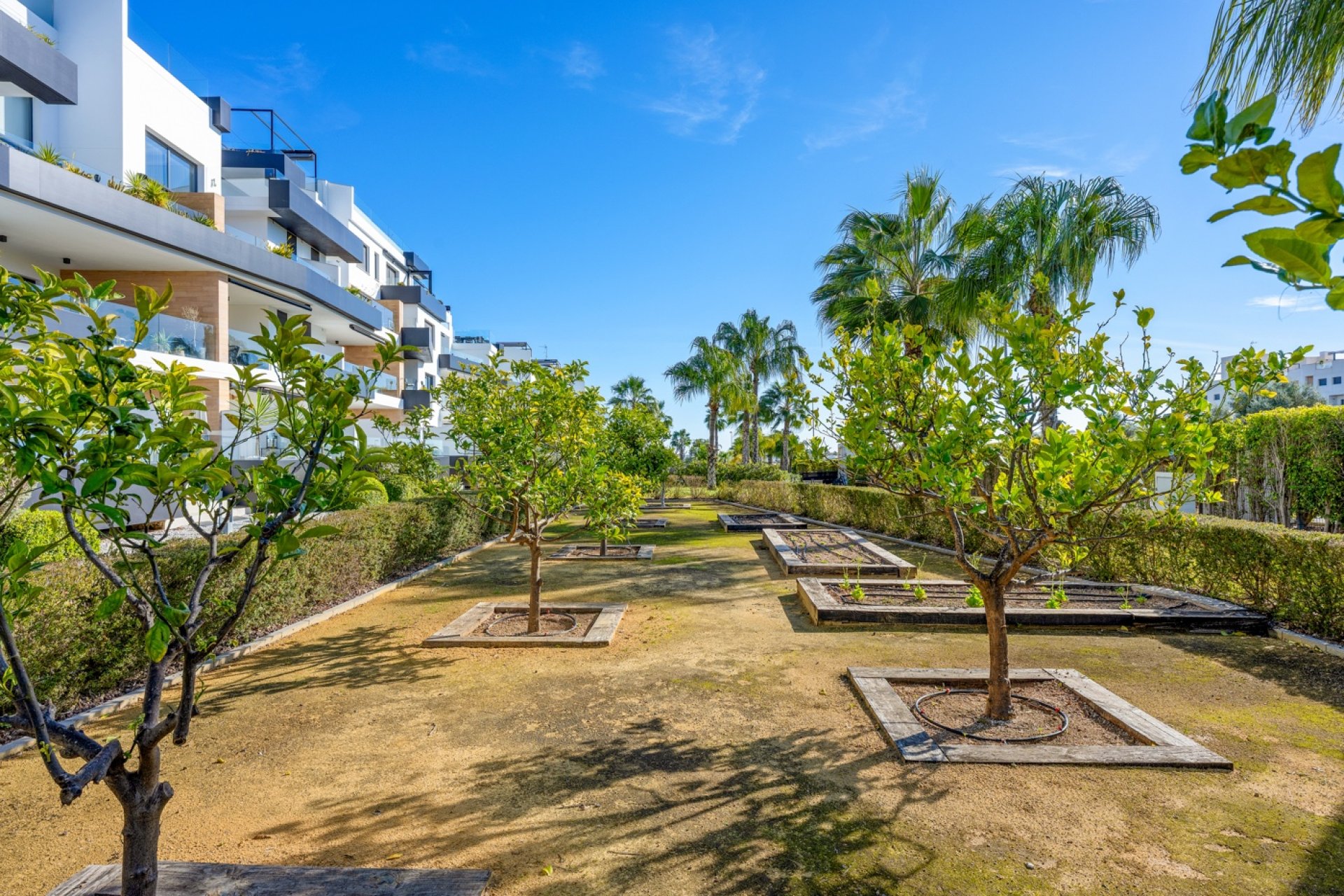 Återförsäljning - Apartment -
Villamartin - Villamartín