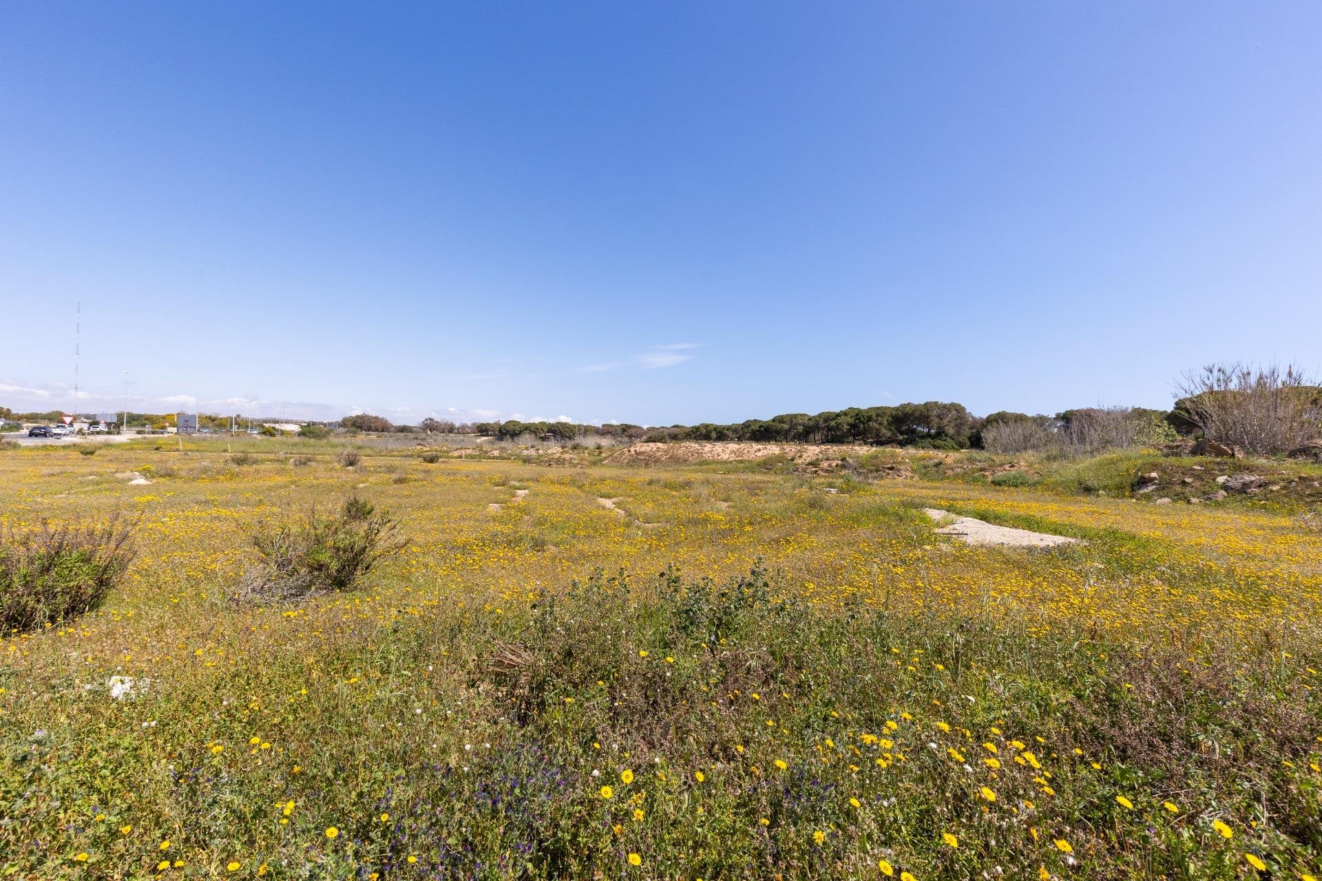 Återförsäljning - Bungalow -
Guardamar del Segura - Urbanizaciones