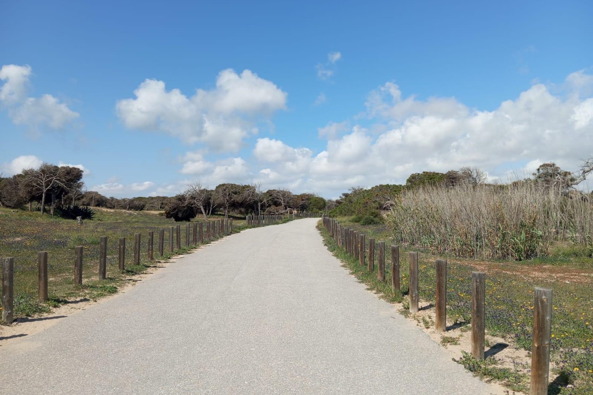 Återförsäljning - Bungalow -
Guardamar del Segura - Urbanizaciones