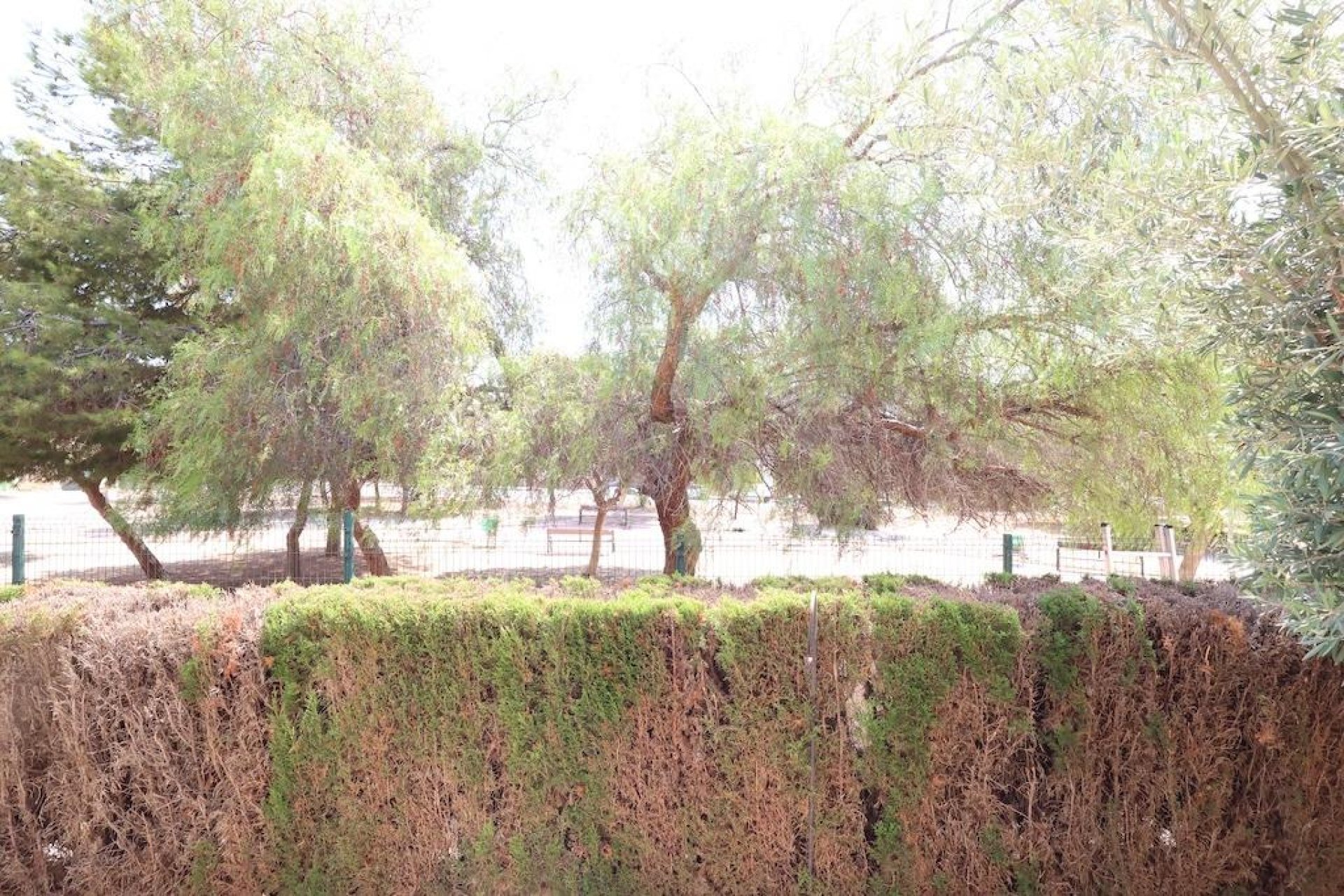 Återförsäljning - Bungalow -
Orihuela Costa - Punta Prima