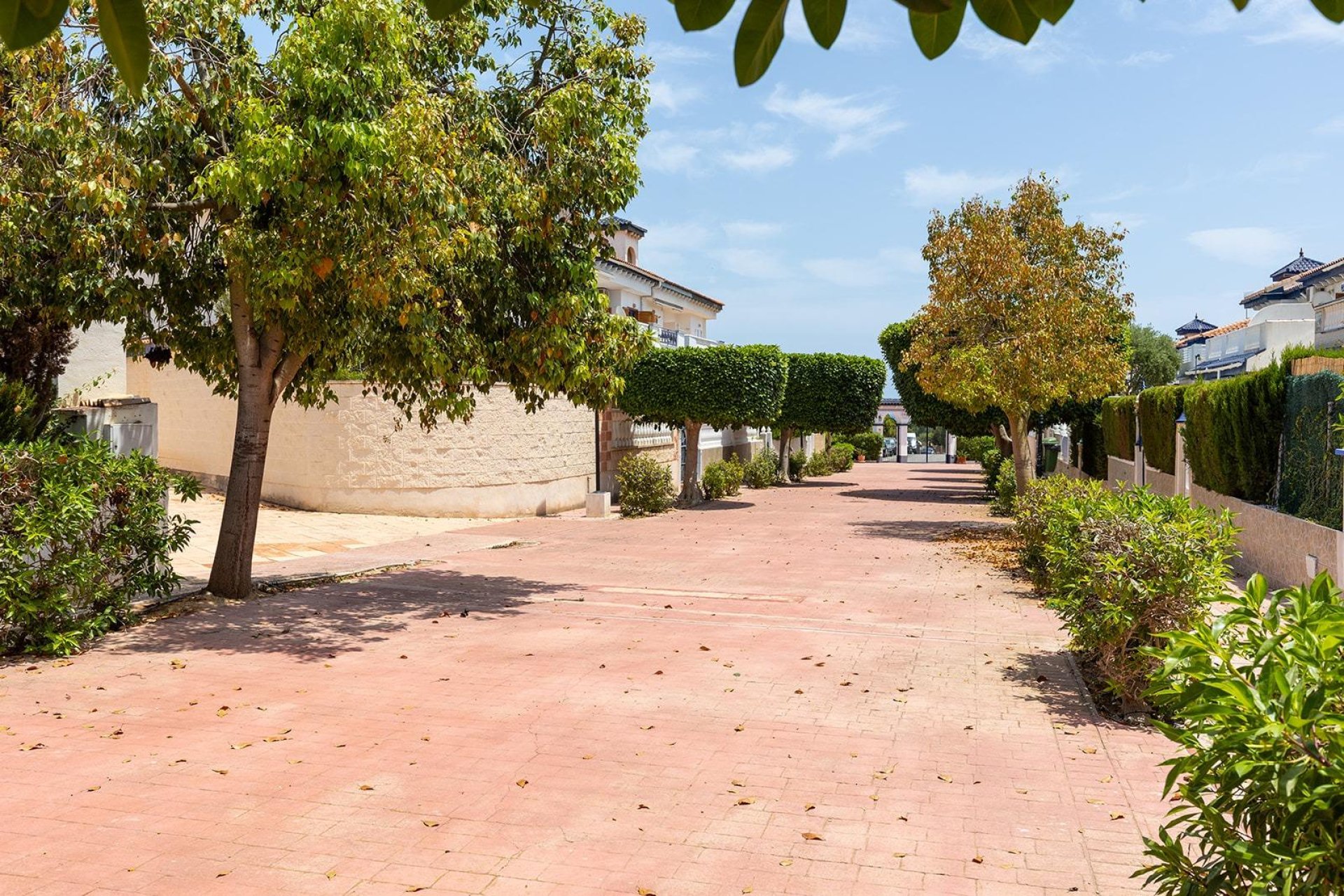 Återförsäljning - Bungalow -
Torrevieja - La Mata