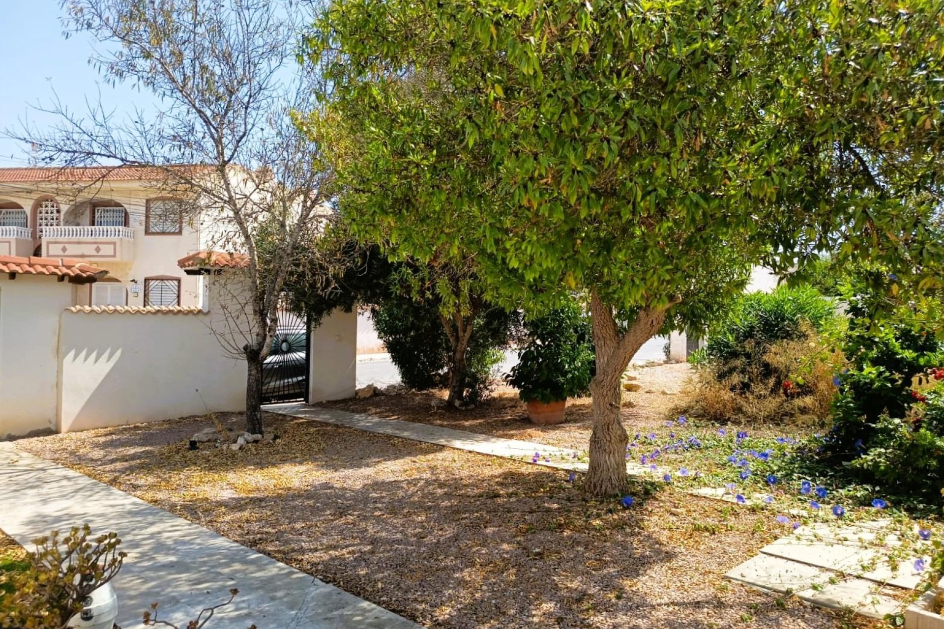 Återförsäljning - Bungalow -
Torrevieja - La Siesta - El Salado - Torreta