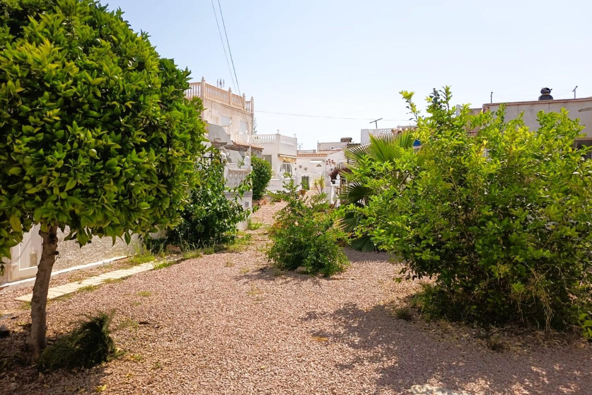 Återförsäljning - Bungalow -
Torrevieja - La Siesta - El Salado - Torreta