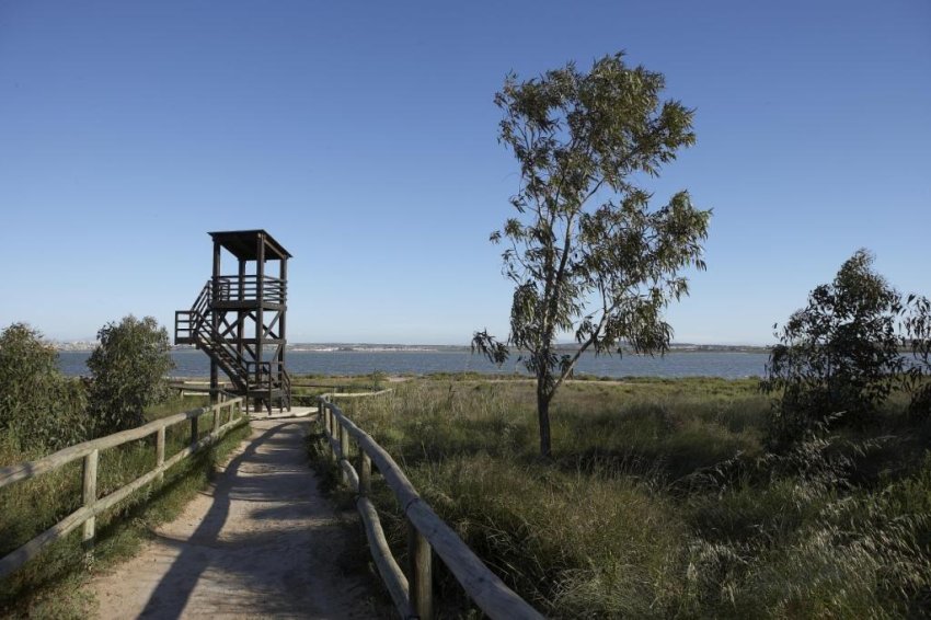 Återförsäljning - Bungalow -
Torrevieja - Torrejón