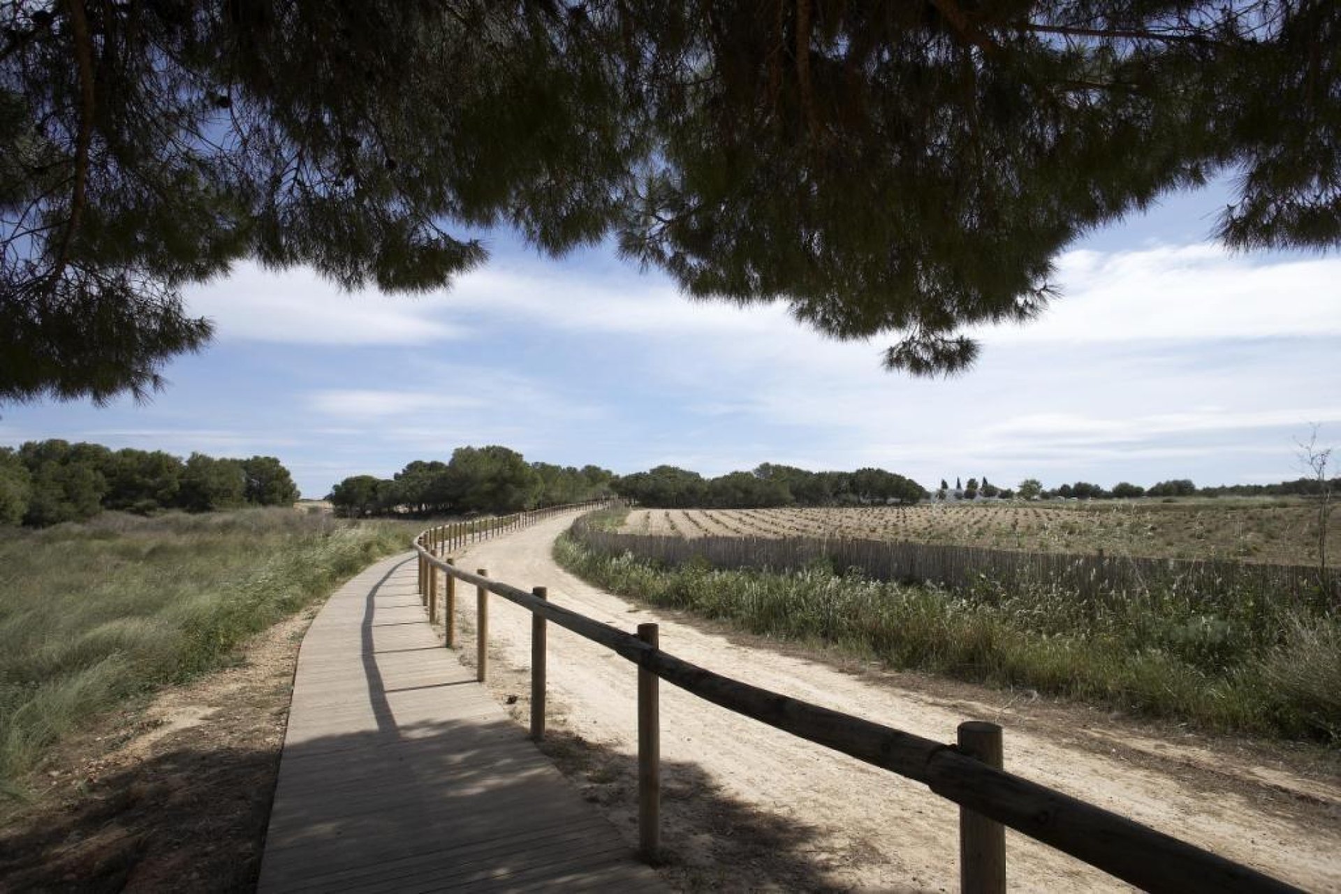 Återförsäljning - Bungalow -
Torrevieja - Torrejón