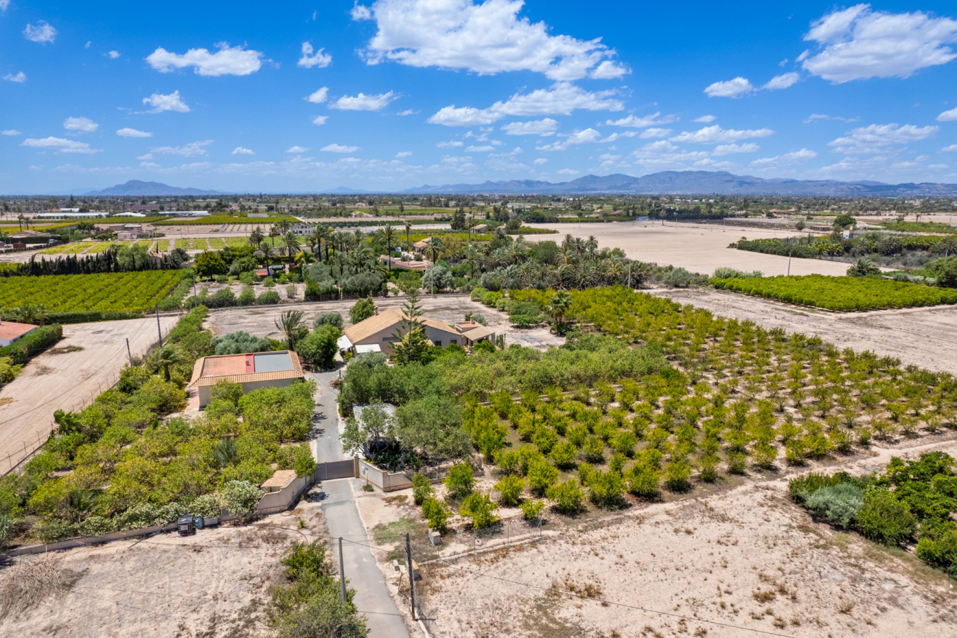 Återförsäljning - Country estate -
Elche - Elche/Elx