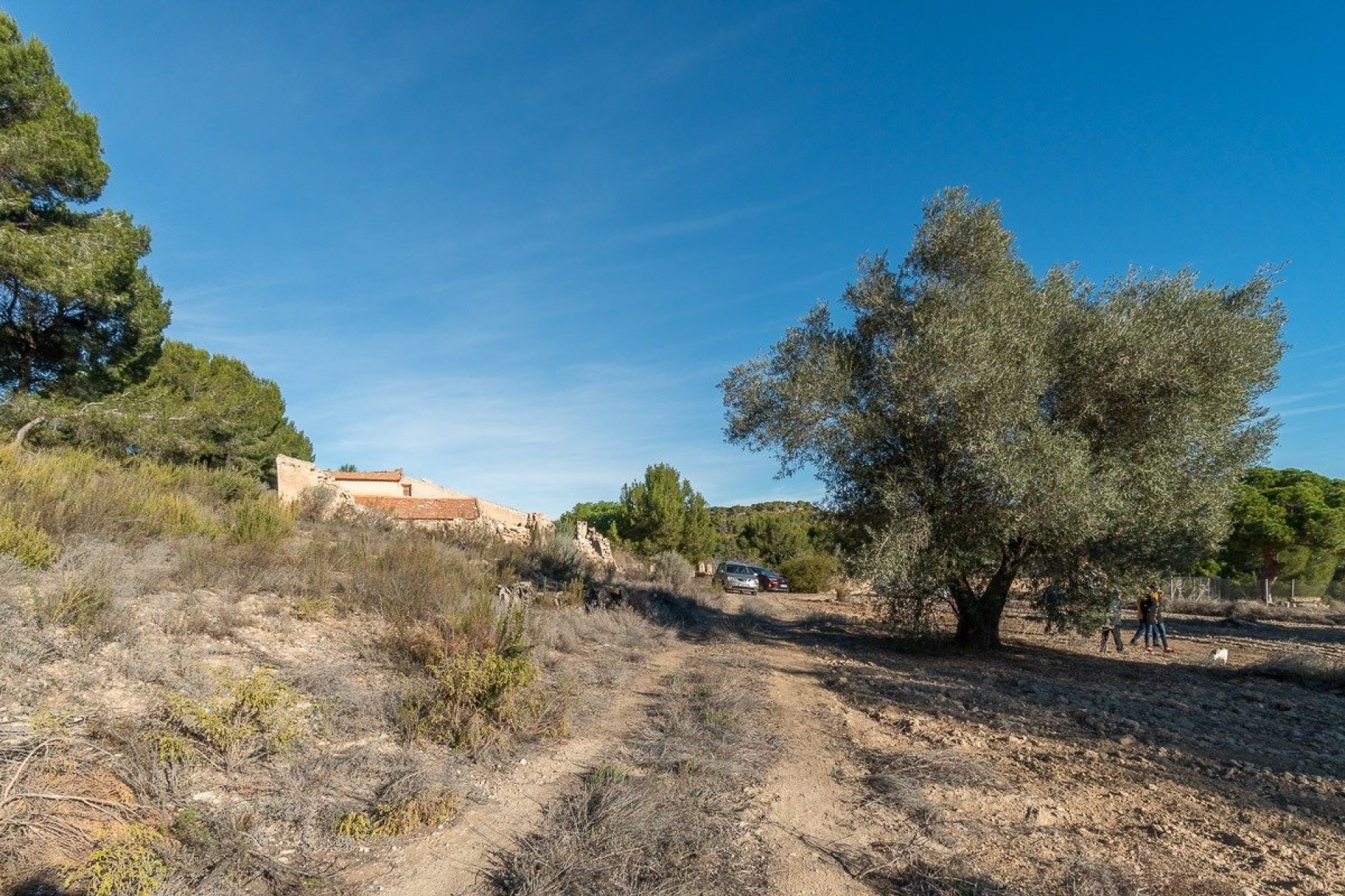 Återförsäljning - Country House -
Pilar de la Horadada - Pinar de la Perdiz