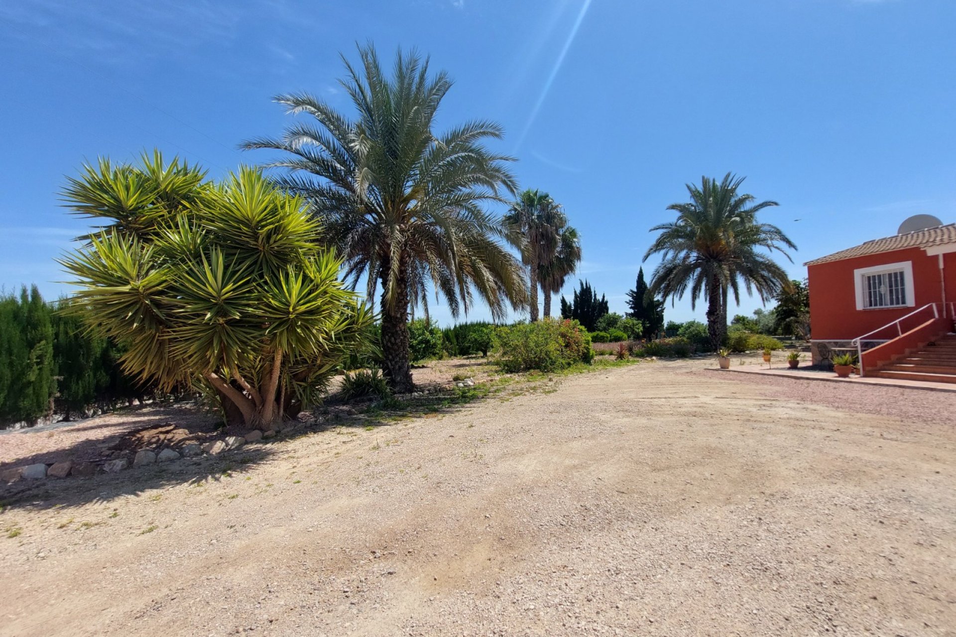 Återförsäljning - Country Property/Finca -
San Miguel - San Miguel de Salinas