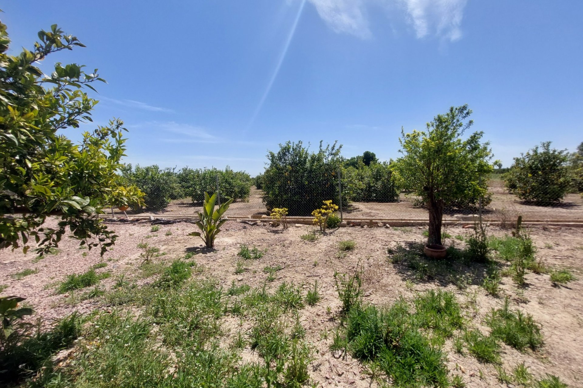 Återförsäljning - Country Property/Finca -
San Miguel - San Miguel de Salinas