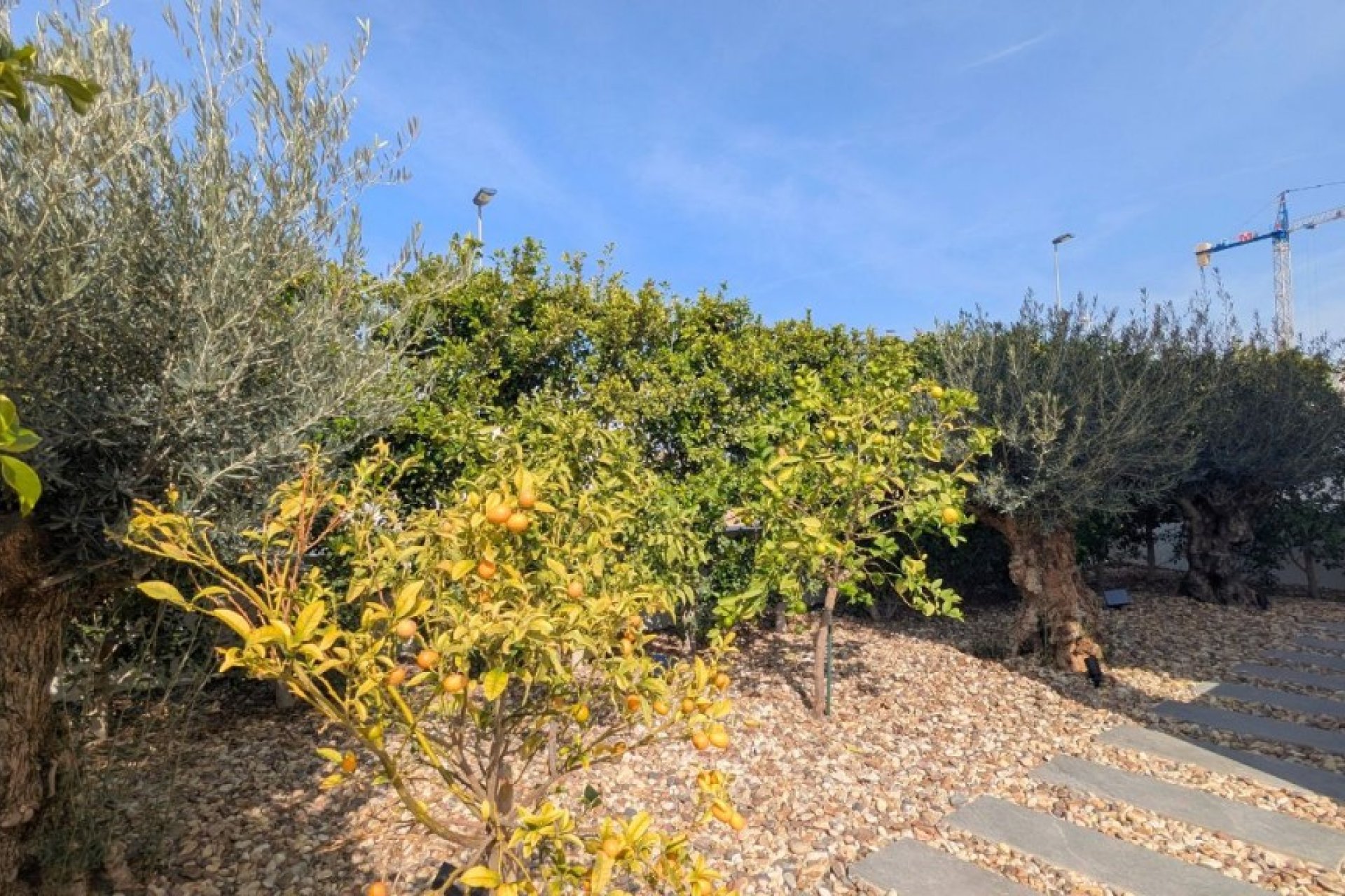 Återförsäljning - Detached villa -
Benijofar