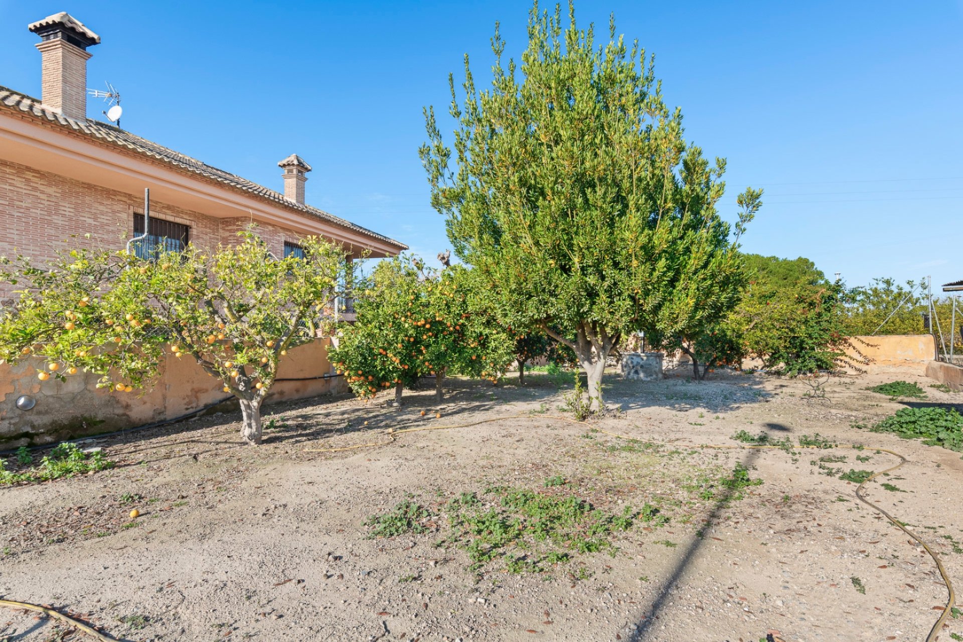 Återförsäljning - Finca -
Beniel - Carretera de Beniel