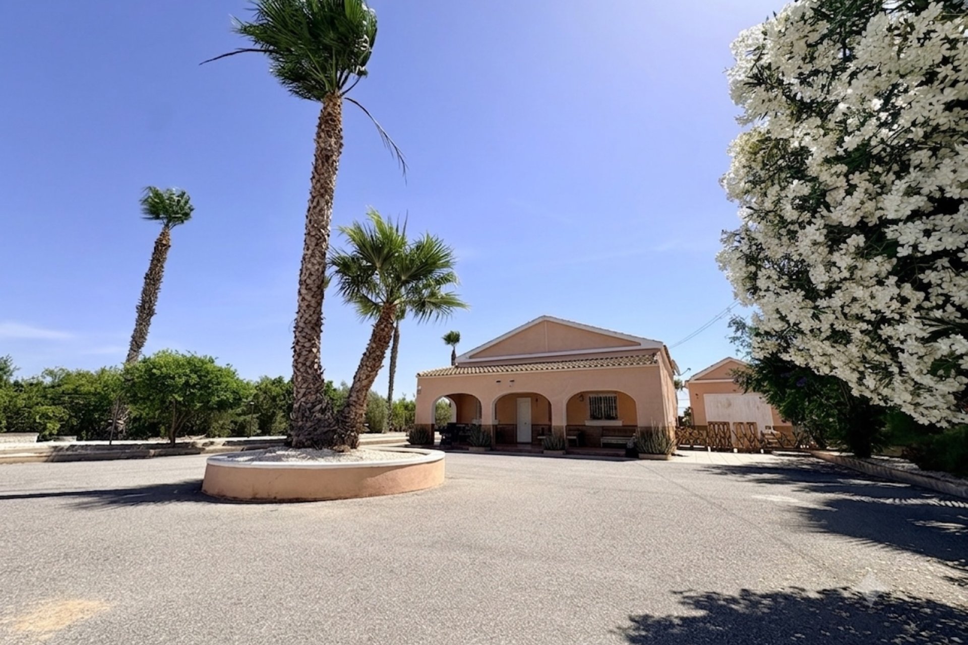 Återförsäljning - Finca -
Dolores