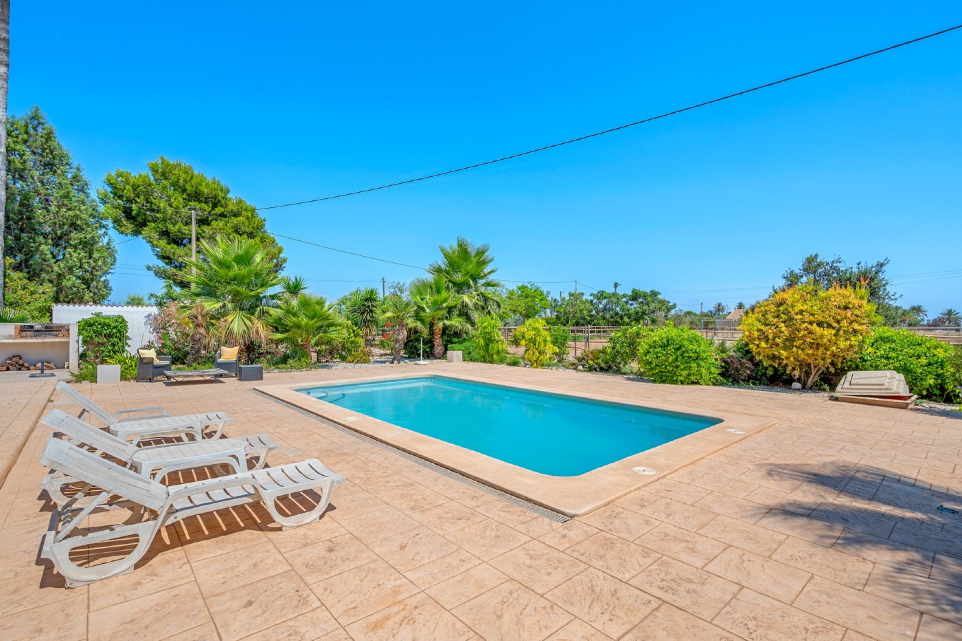 Återförsäljning - Finca -
Elche - Elche/Elx