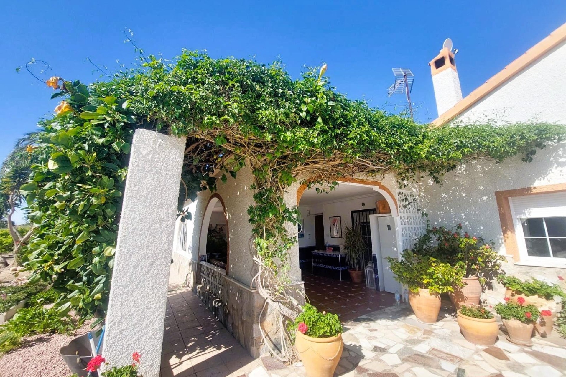 Återförsäljning - Finca -
La Marina