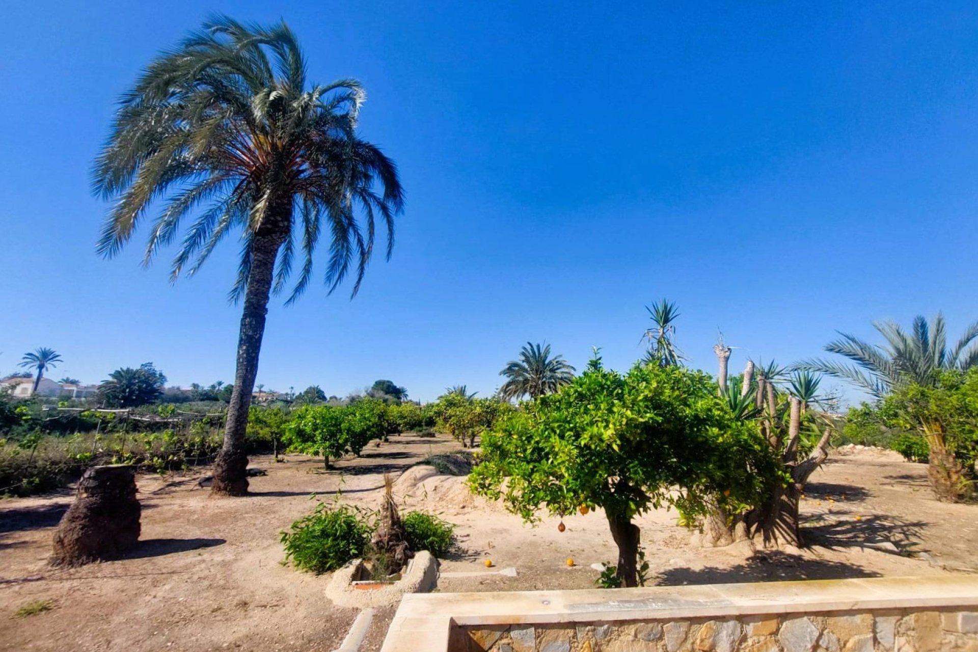 Återförsäljning - Finca -
La Marina