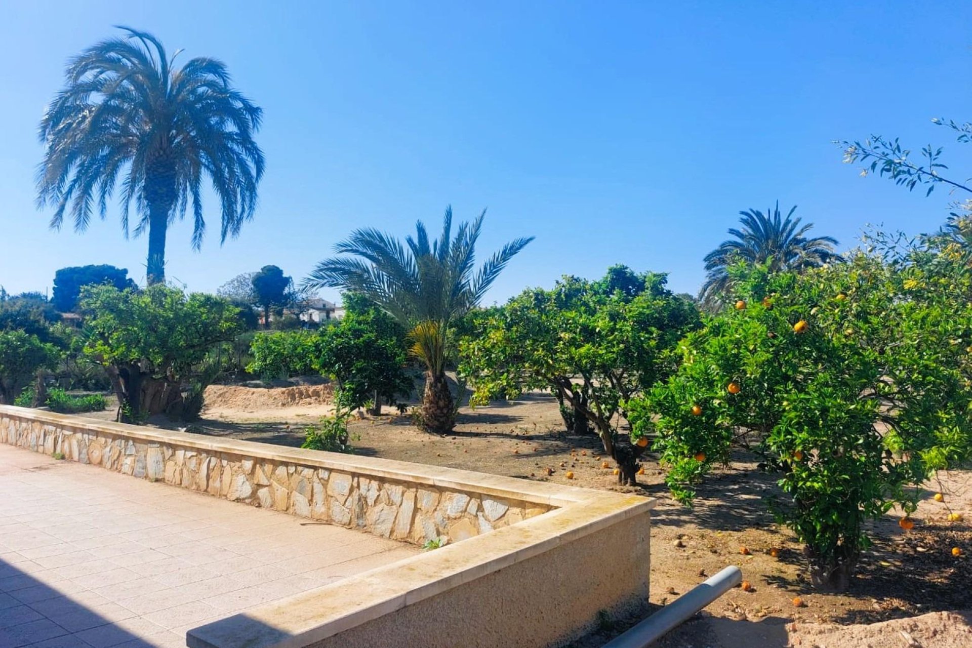 Återförsäljning - Finca -
La Marina