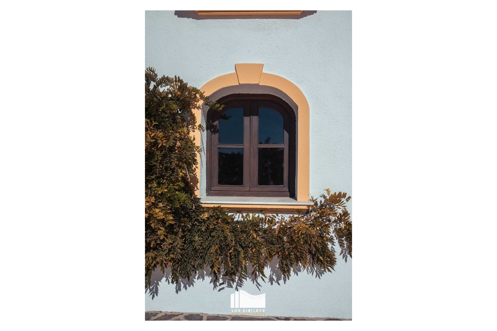 Återförsäljning - Finca -
Lorca