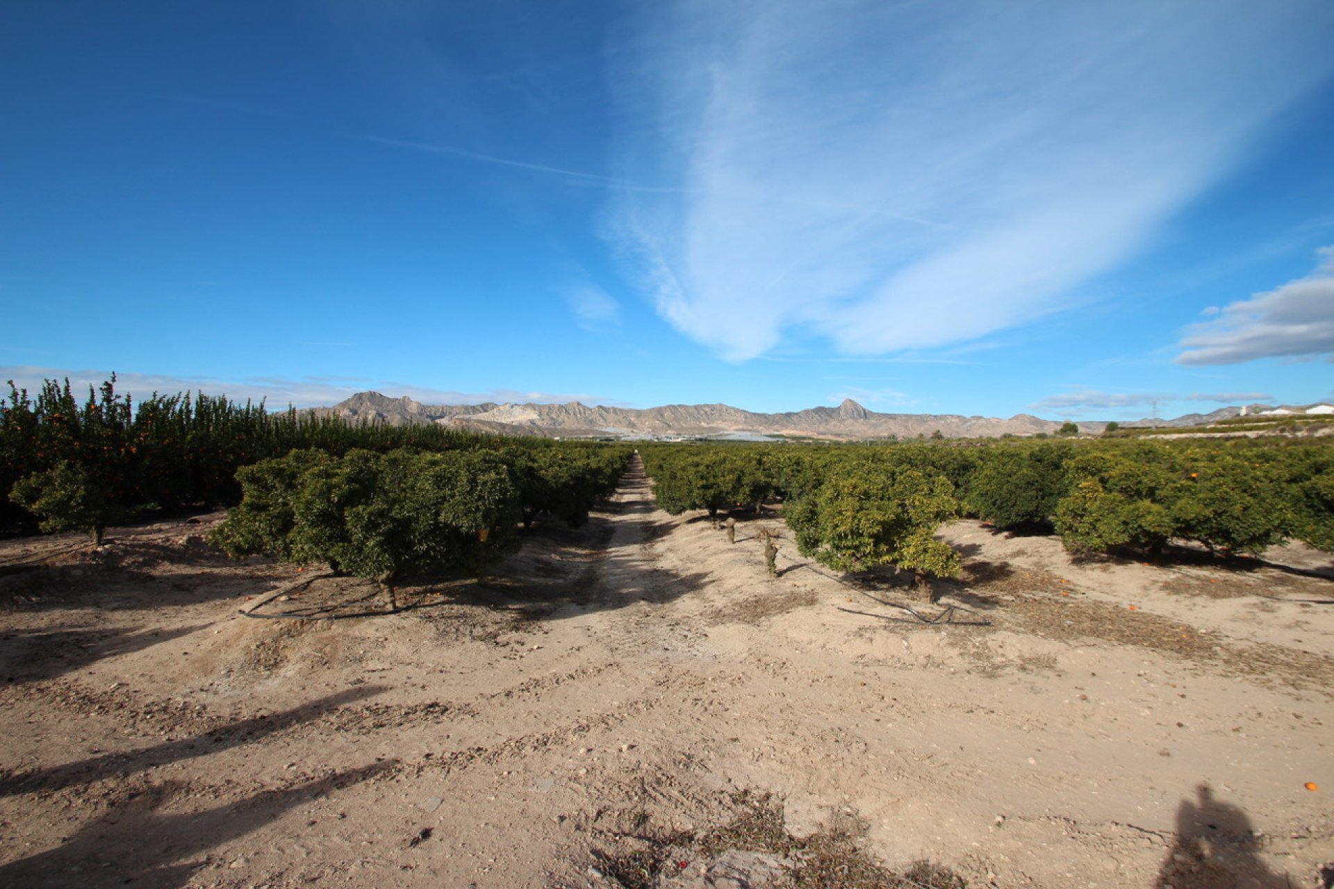 Återförsäljning - Finca -
Murcia - Costa Blanca Sur