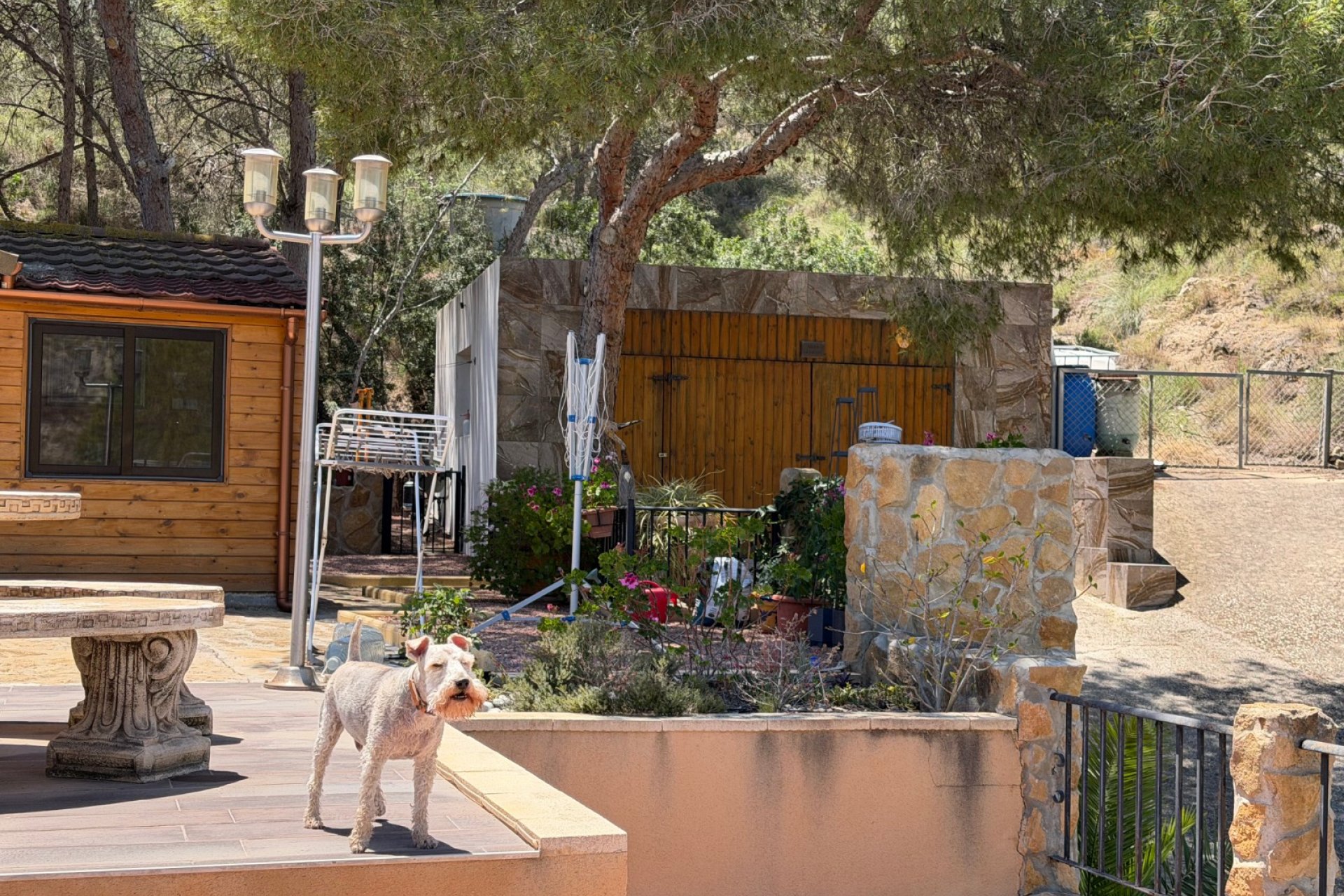 Återförsäljning - Finca -
Orihuela - Torremendo