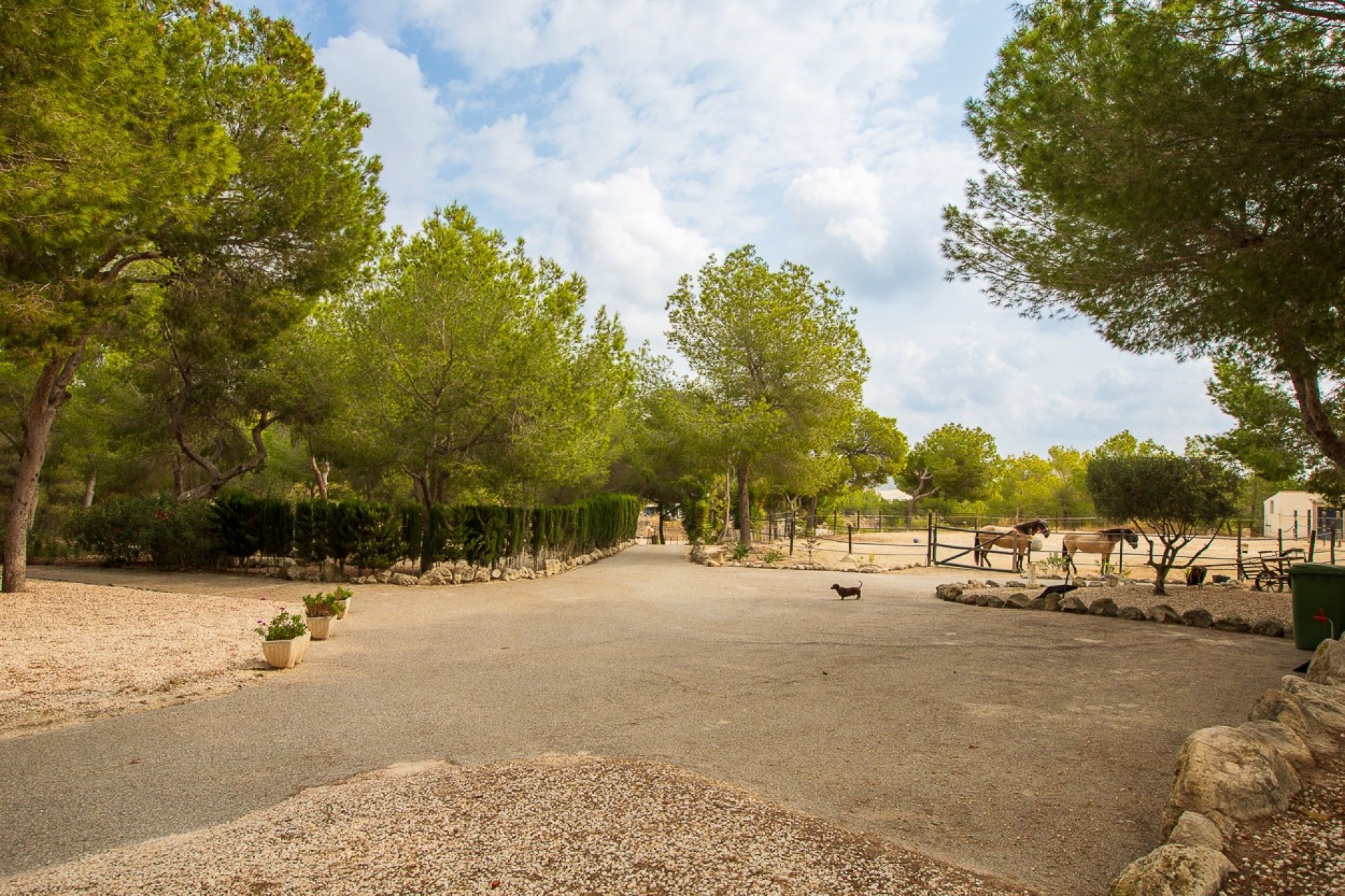 Återförsäljning - Finca -
Torremendo