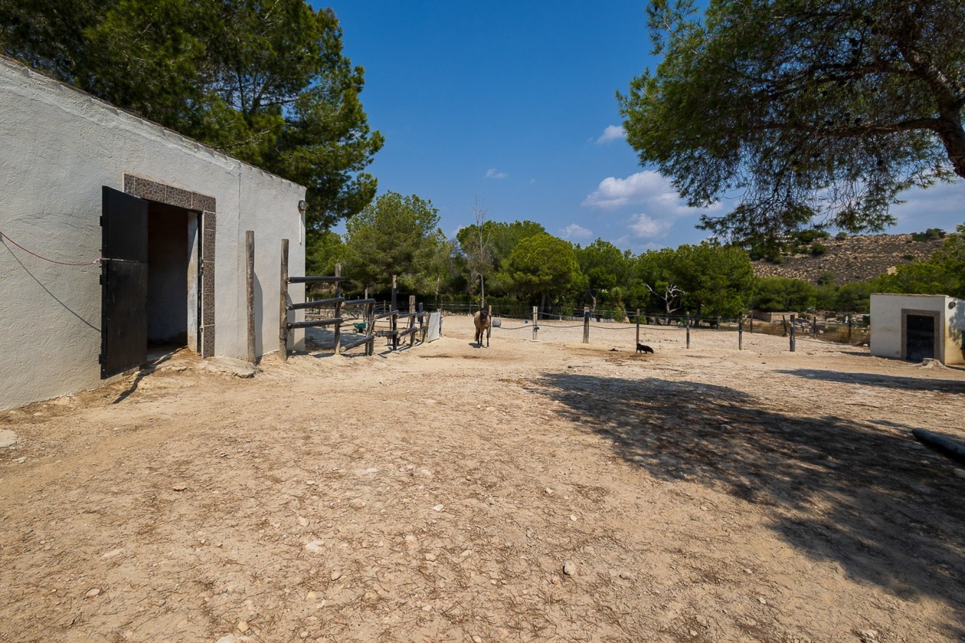 Återförsäljning - Finca -
Torremendo