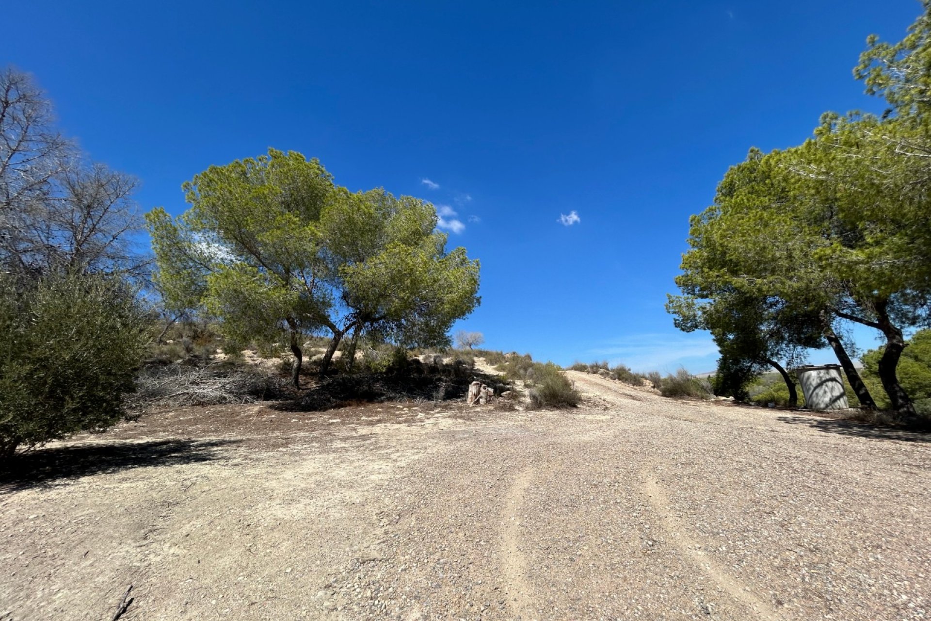 Återförsäljning - Finca -
Torremendo