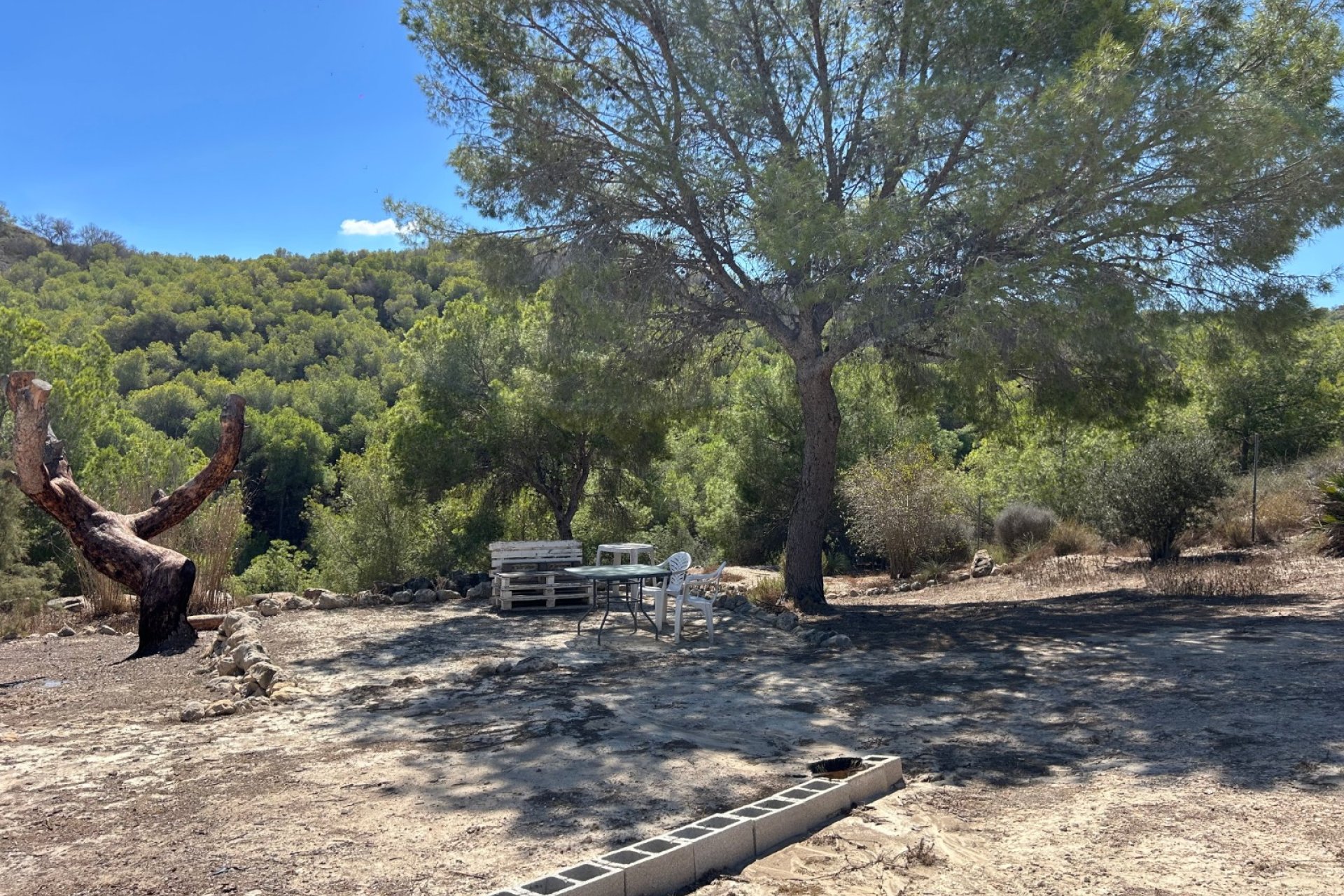 Återförsäljning - Finca -
Torremendo