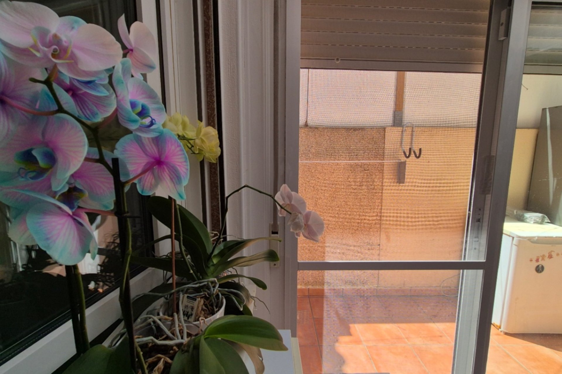 Återförsäljning - Radhus -
Torrevieja - Costa Blanca Sur