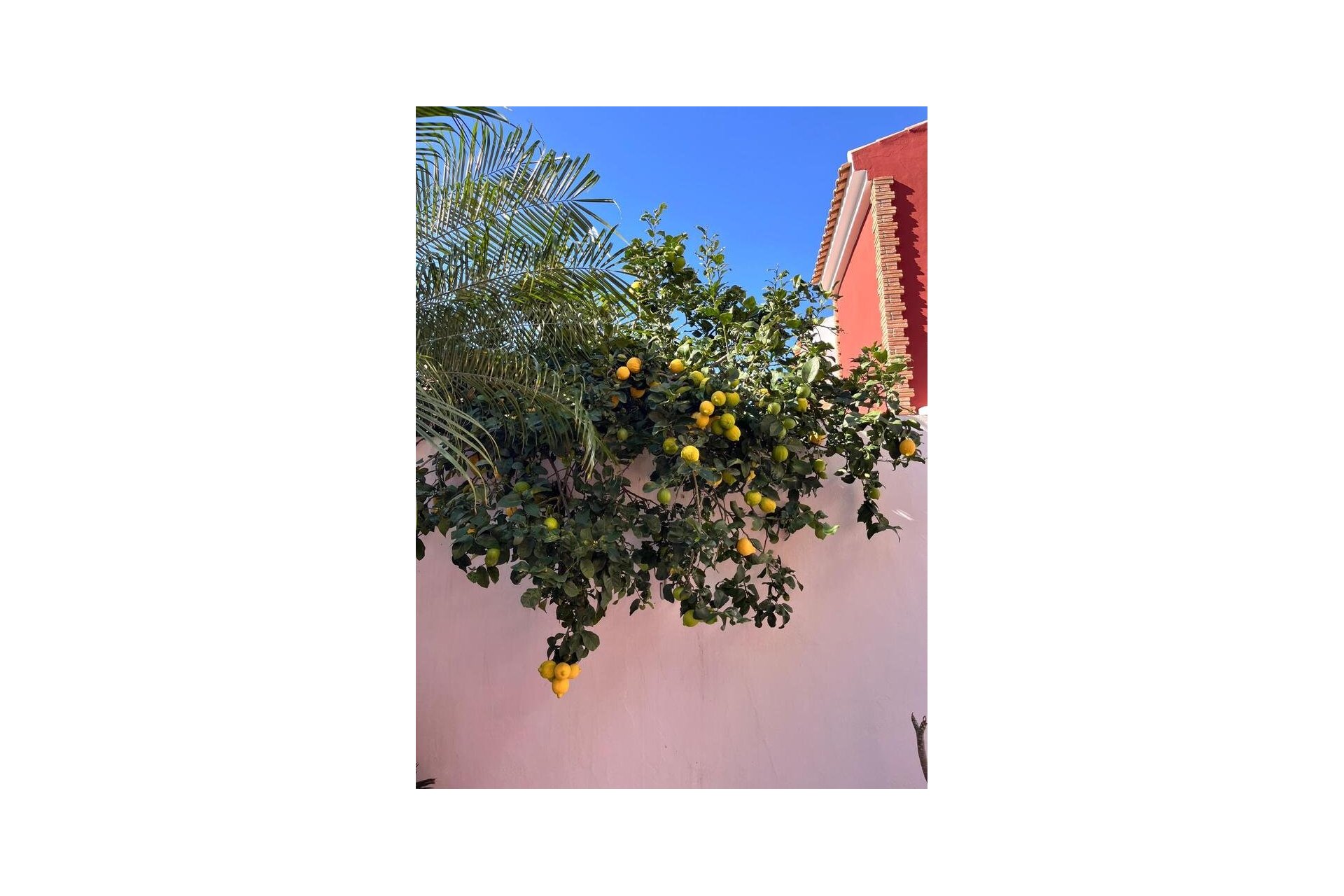 Återförsäljning - Semi detached -
Torre de la Horadada - Costa Blanca