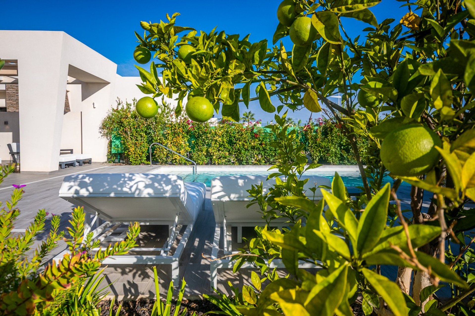 Återförsäljning - Villa -
Algorfa - LA FINCA GOLF / ALGORFA