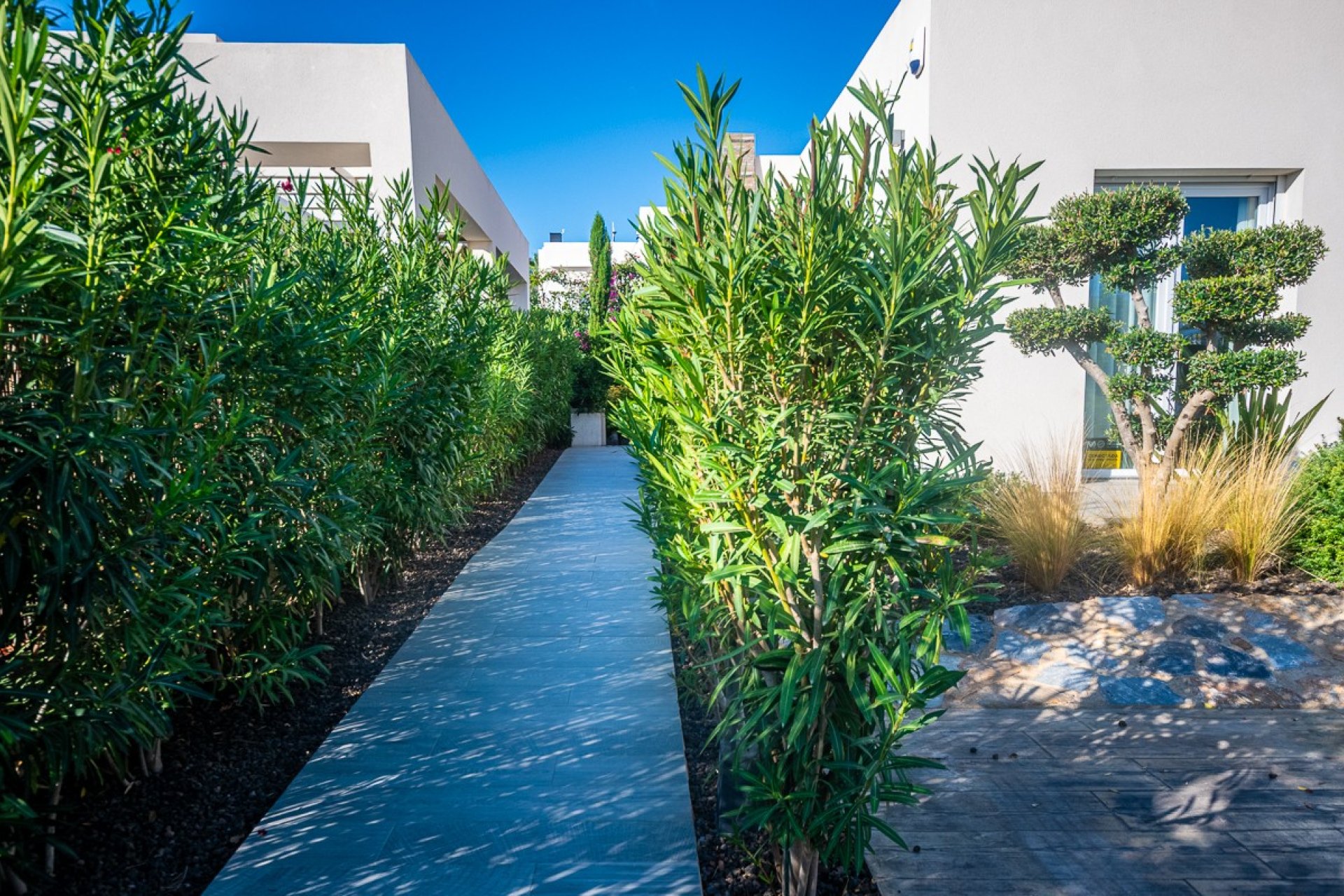 Återförsäljning - Villa -
Algorfa - LA FINCA GOLF / ALGORFA