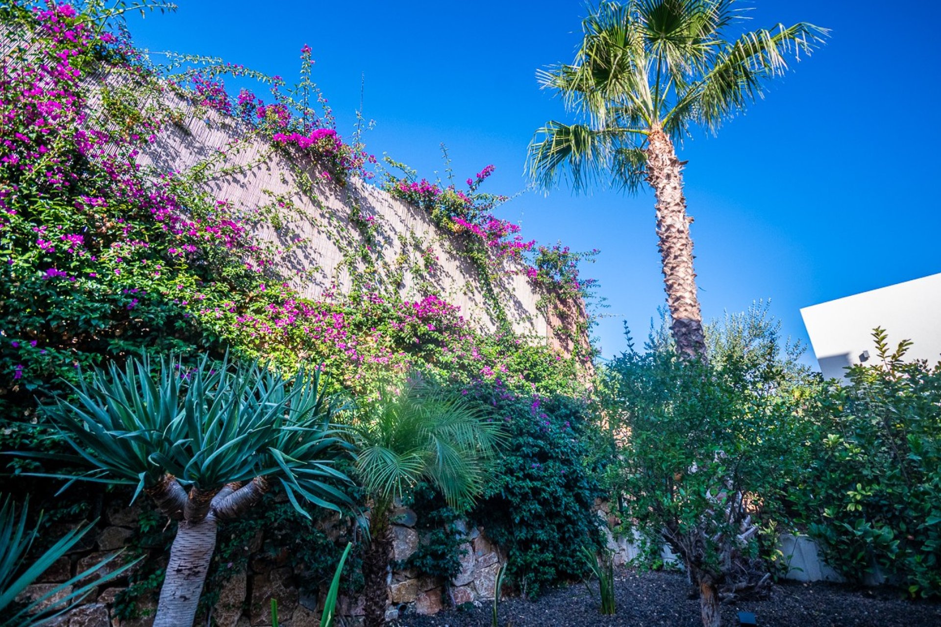 Återförsäljning - Villa -
Algorfa - LA FINCA GOLF / ALGORFA