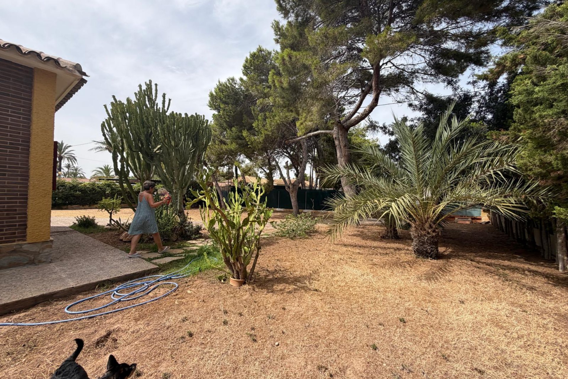 Återförsäljning - Villa -
Cabo Roig - Orihuela Costa