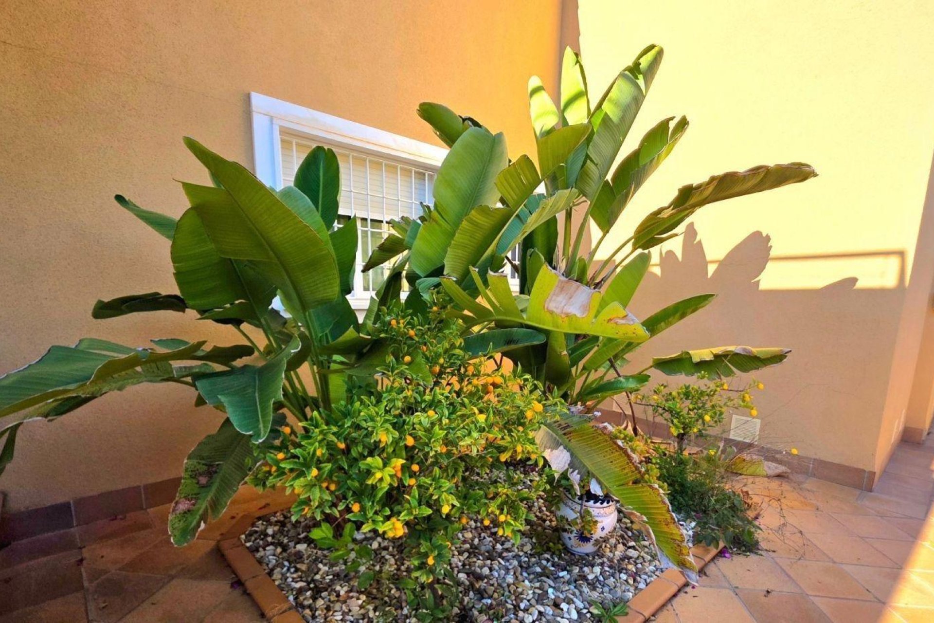 Återförsäljning - Villa -
Dehesa de campoamor - Campoamor