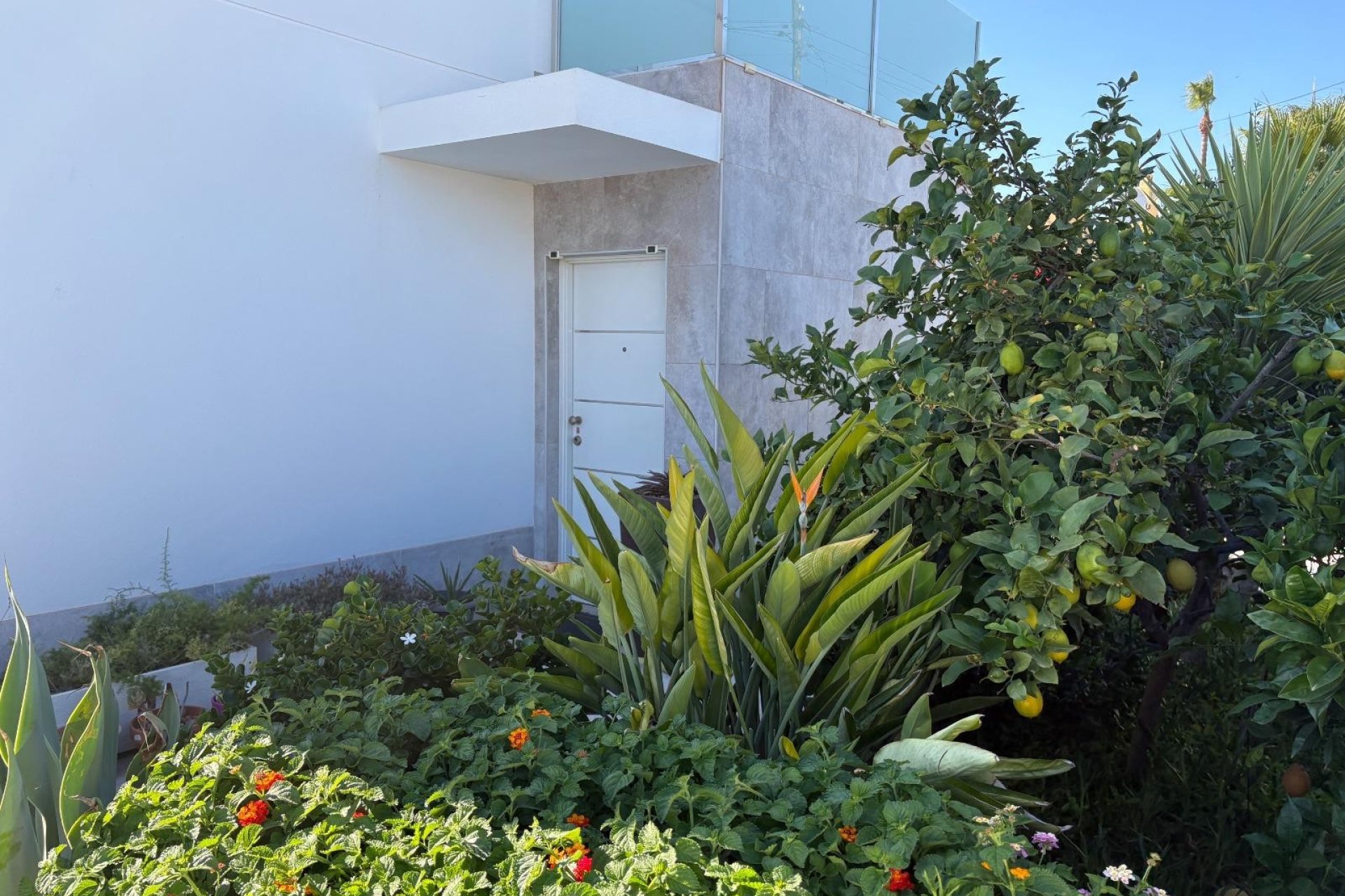 Återförsäljning - Villa / House -
Torrevieja - La Siesta