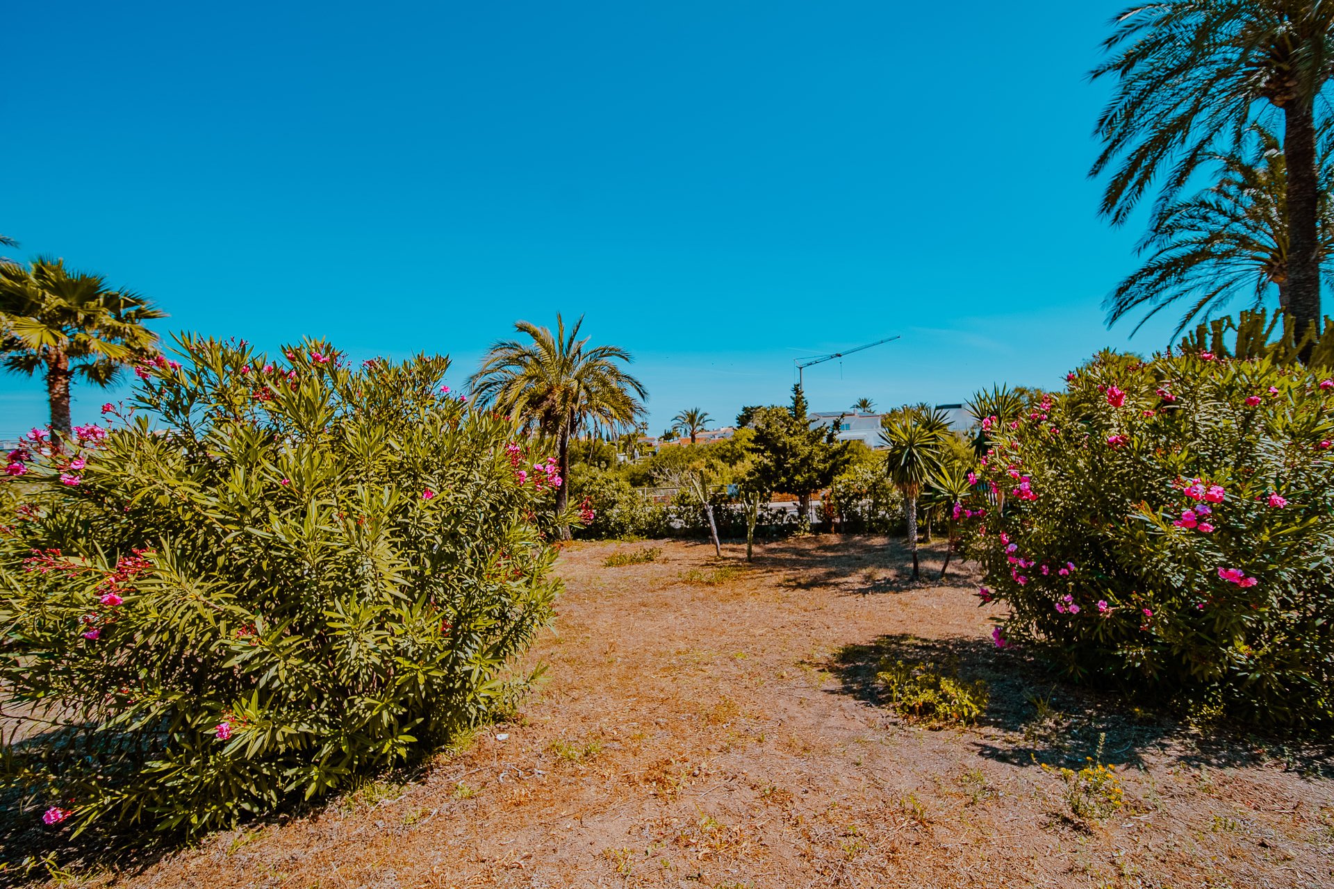 Återförsäljning - Villa -
Orihuela Costa - Playa Flamenca