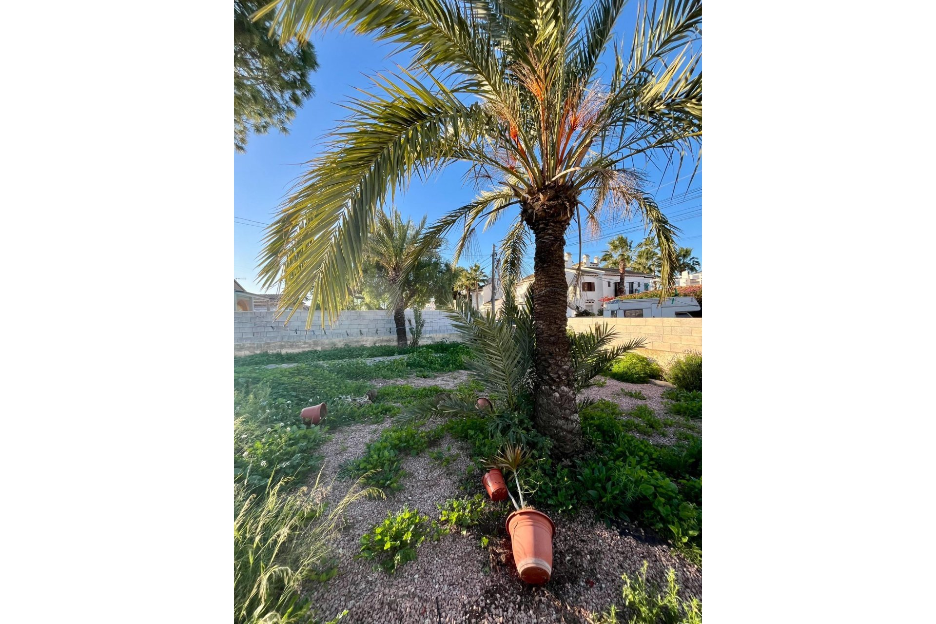 Återförsäljning - Villa -
Torrevieja - Aguas Nuevas