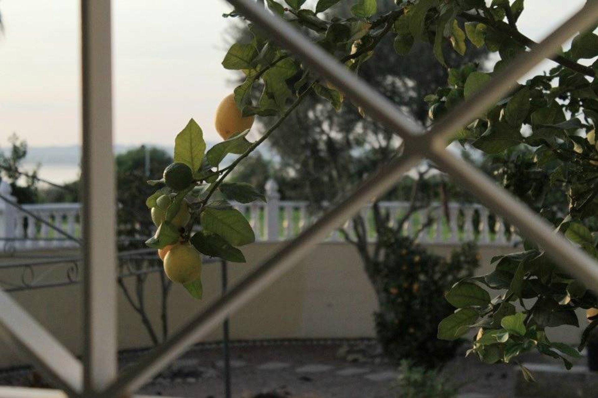 Återförsäljning - Villa -
Torrevieja - La Siesta - El Salado - Torreta