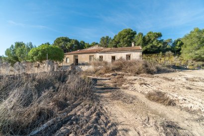 Country House - Resale - Pilar de la Horadada - Pinar de la Perdiz