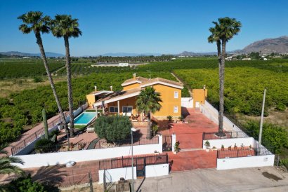Finca - Country Property - Återförsäljning - Orihuela - Orihuela