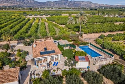 Finca - Reventa - Albatera - Albatera