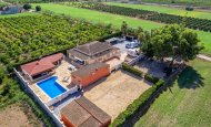 Finca - Reventa -
            Almoradi - CBB-60613