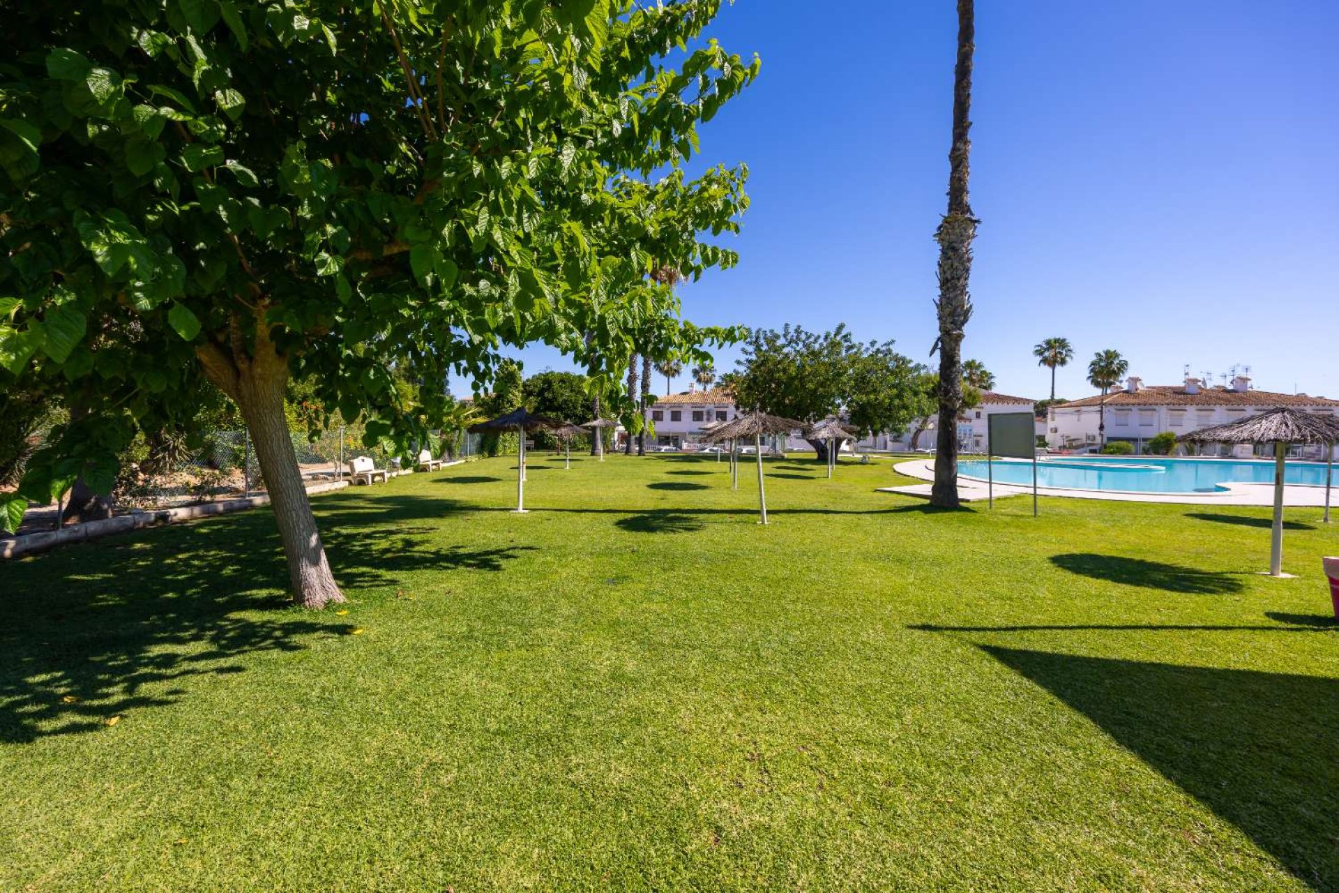 Korttidsuthyrning - Apartment -
Torrevieja