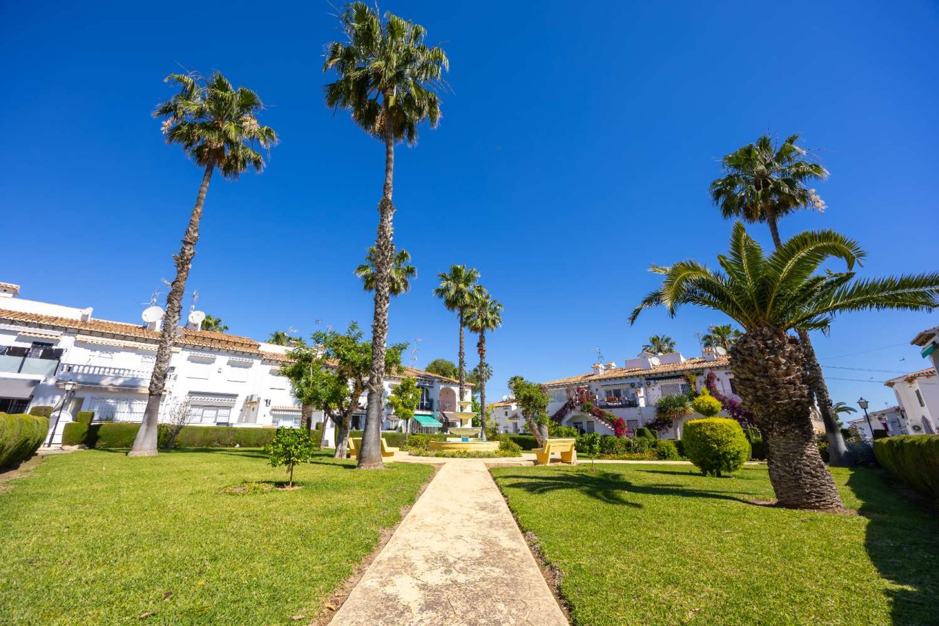 Korttidsuthyrning - Apartment -
Torrevieja