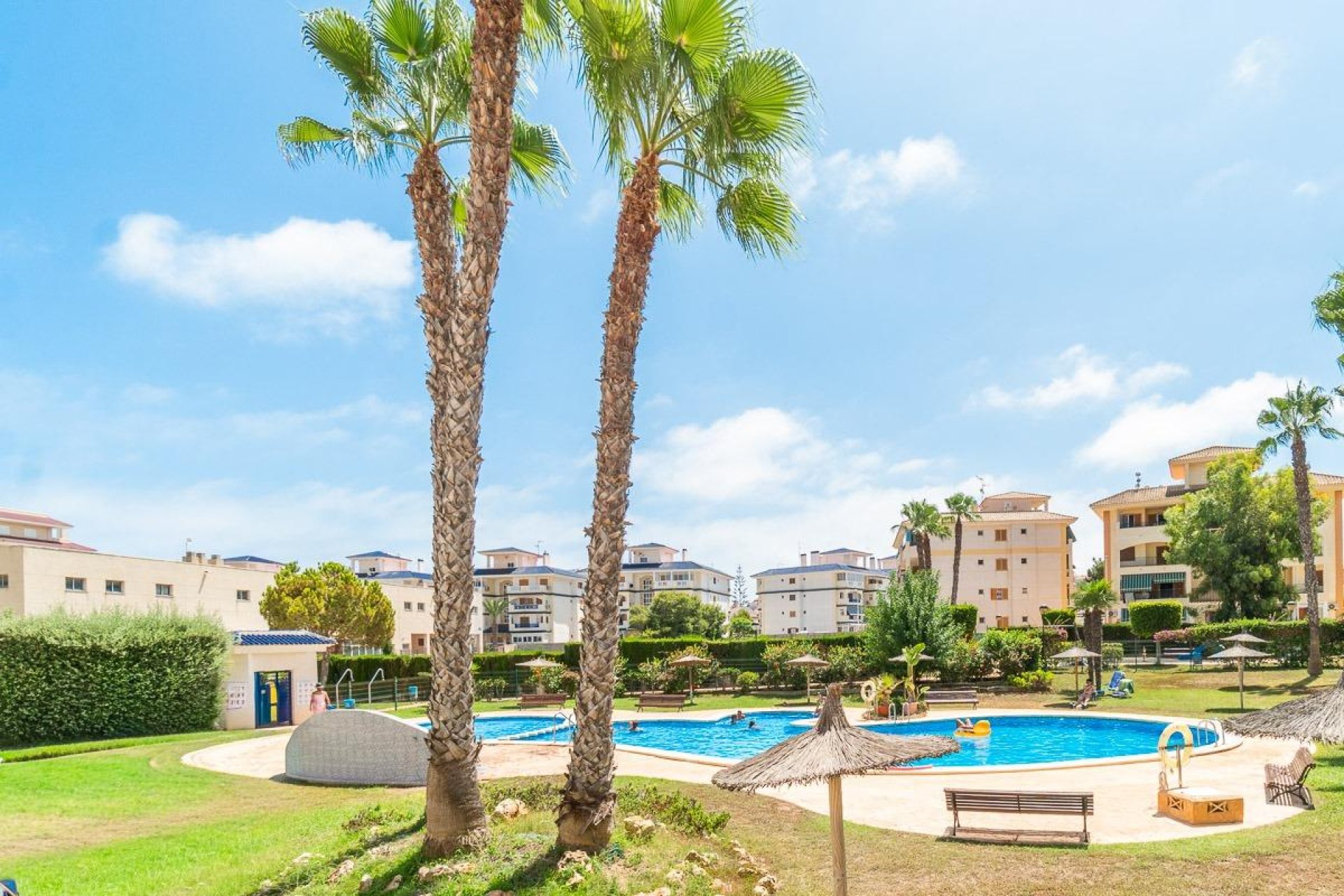 Long Term Rental - Apartment -
Torrevieja - La Mata