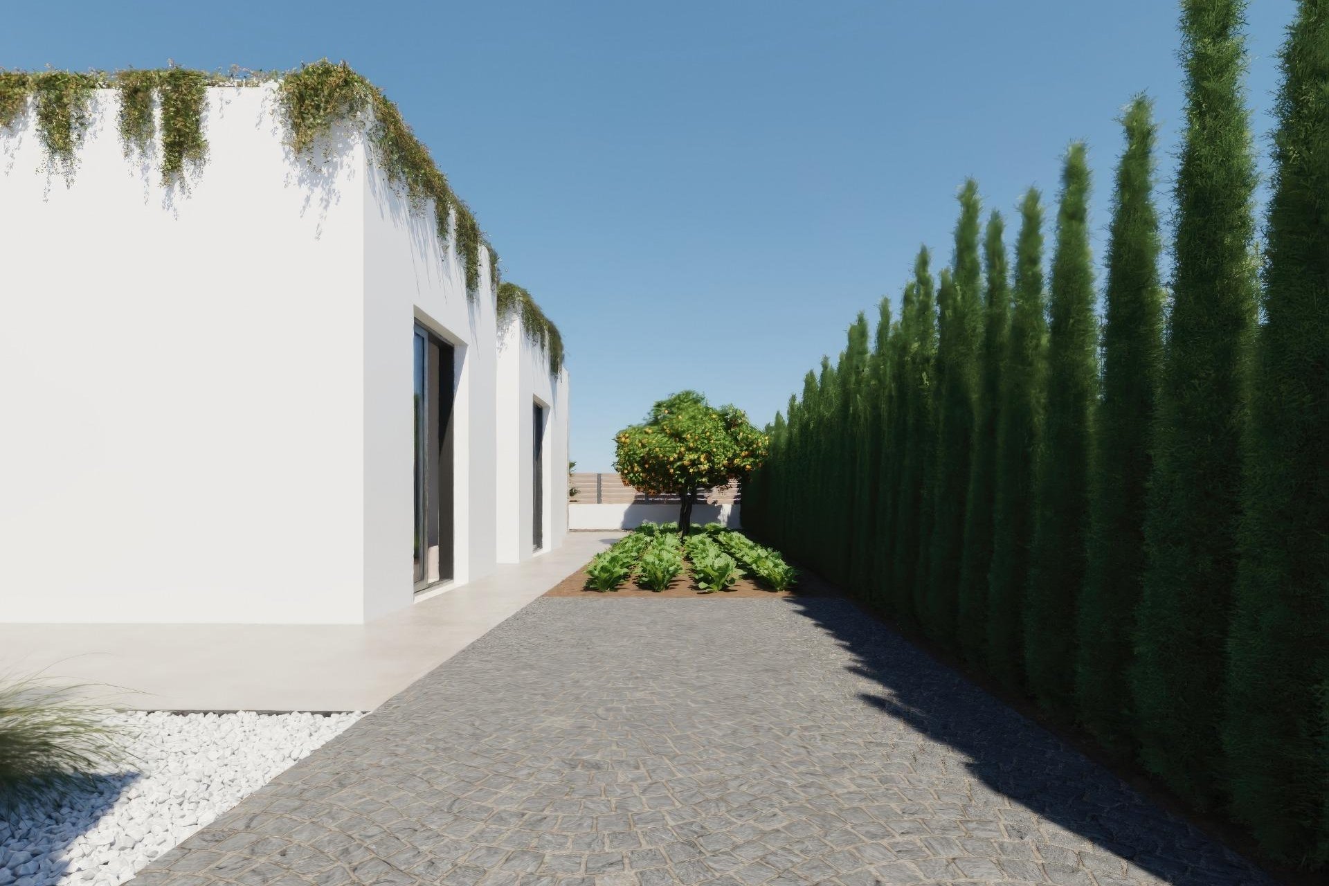 New Build - Villa -
Fuente Álamo - Hacienda del Alamo