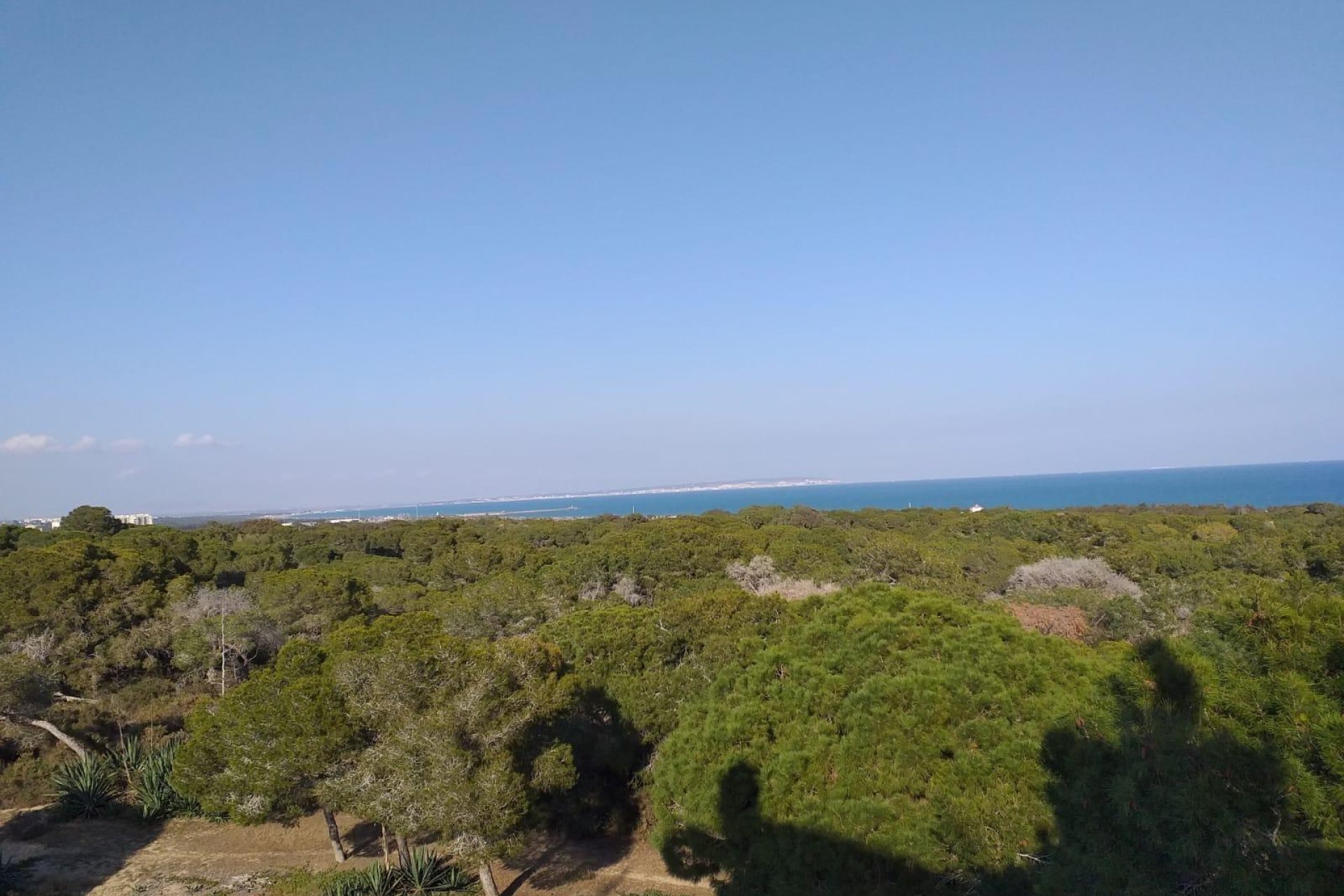 Nyproduktion - Apartment -
Guardamar del Segura - Pueblo