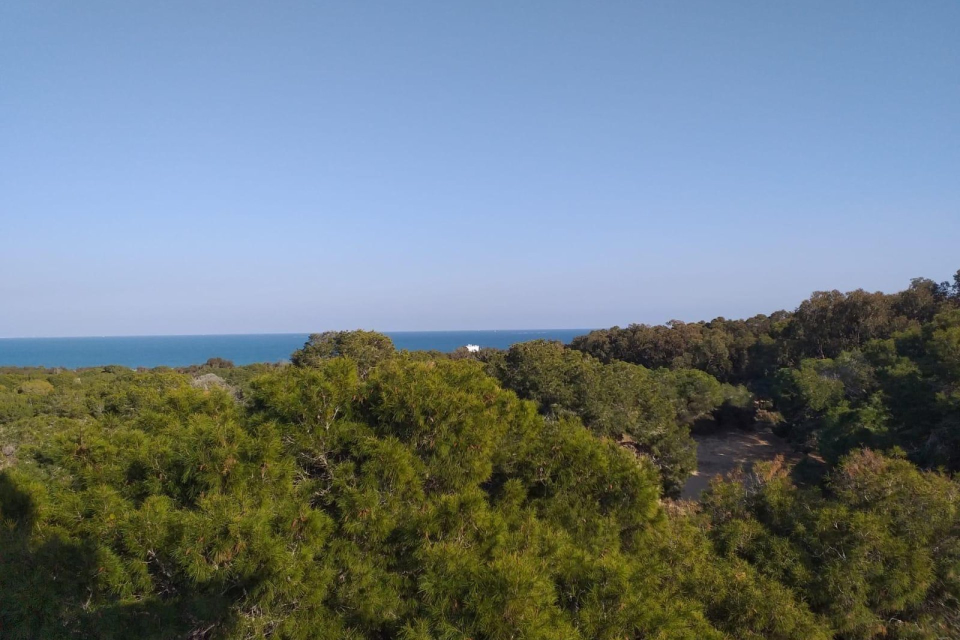 Nyproduktion - Apartment -
Guardamar del Segura - Pueblo