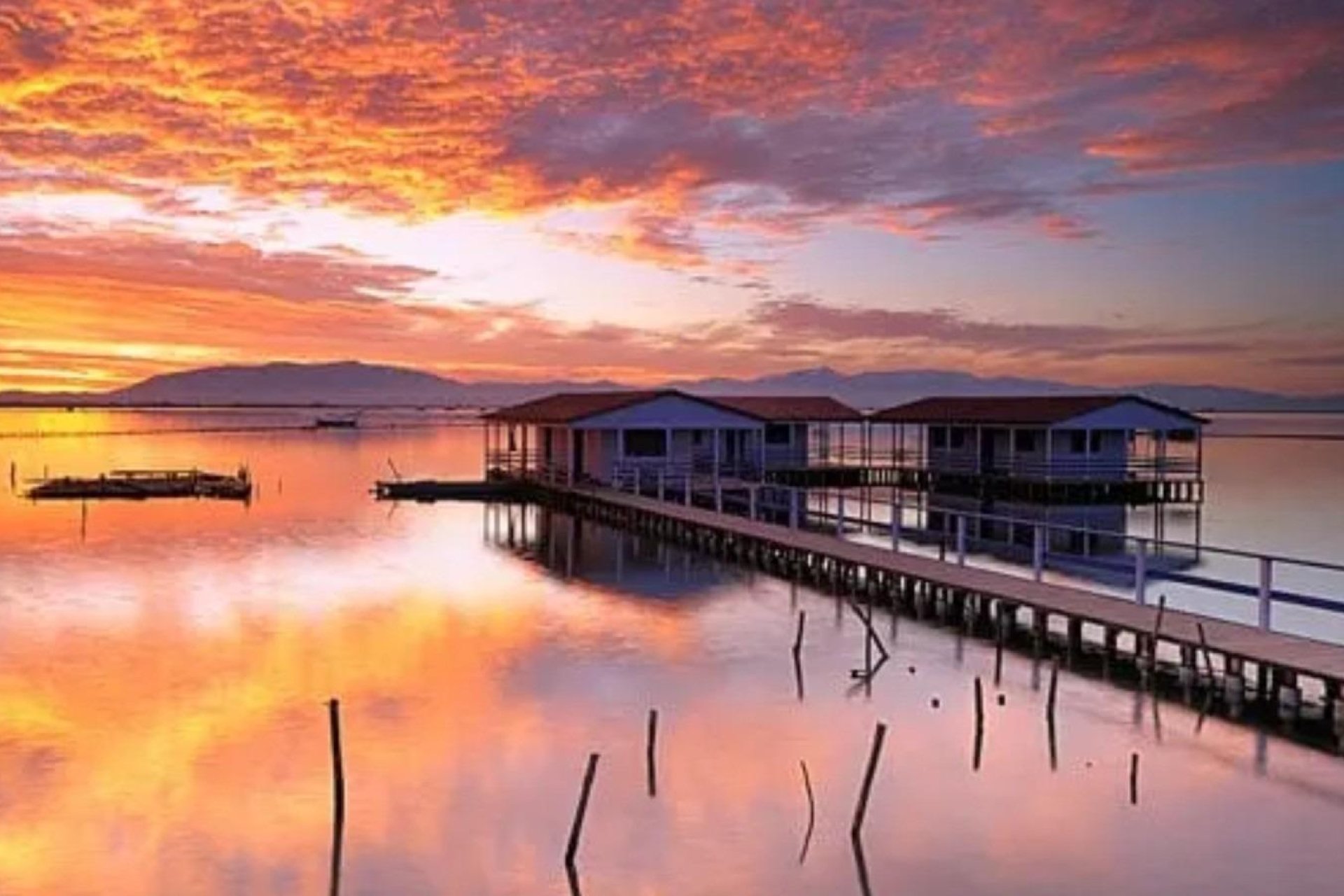 Nyproduktion - Apartment -
San Pedro del Pinatar - Los Pinos