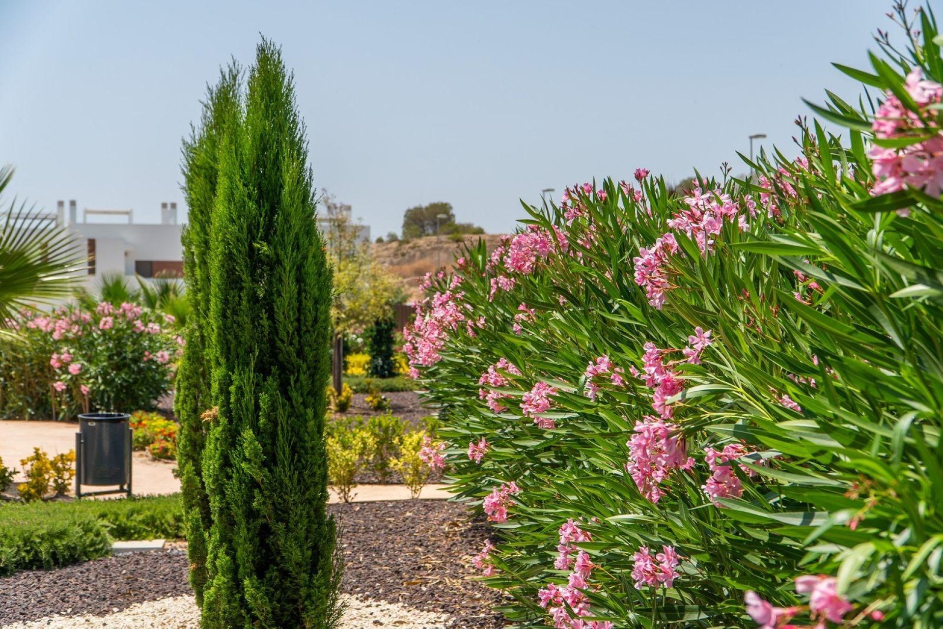 Nyproduktion - Bungalow -
Orihuela - Vistabella Golf